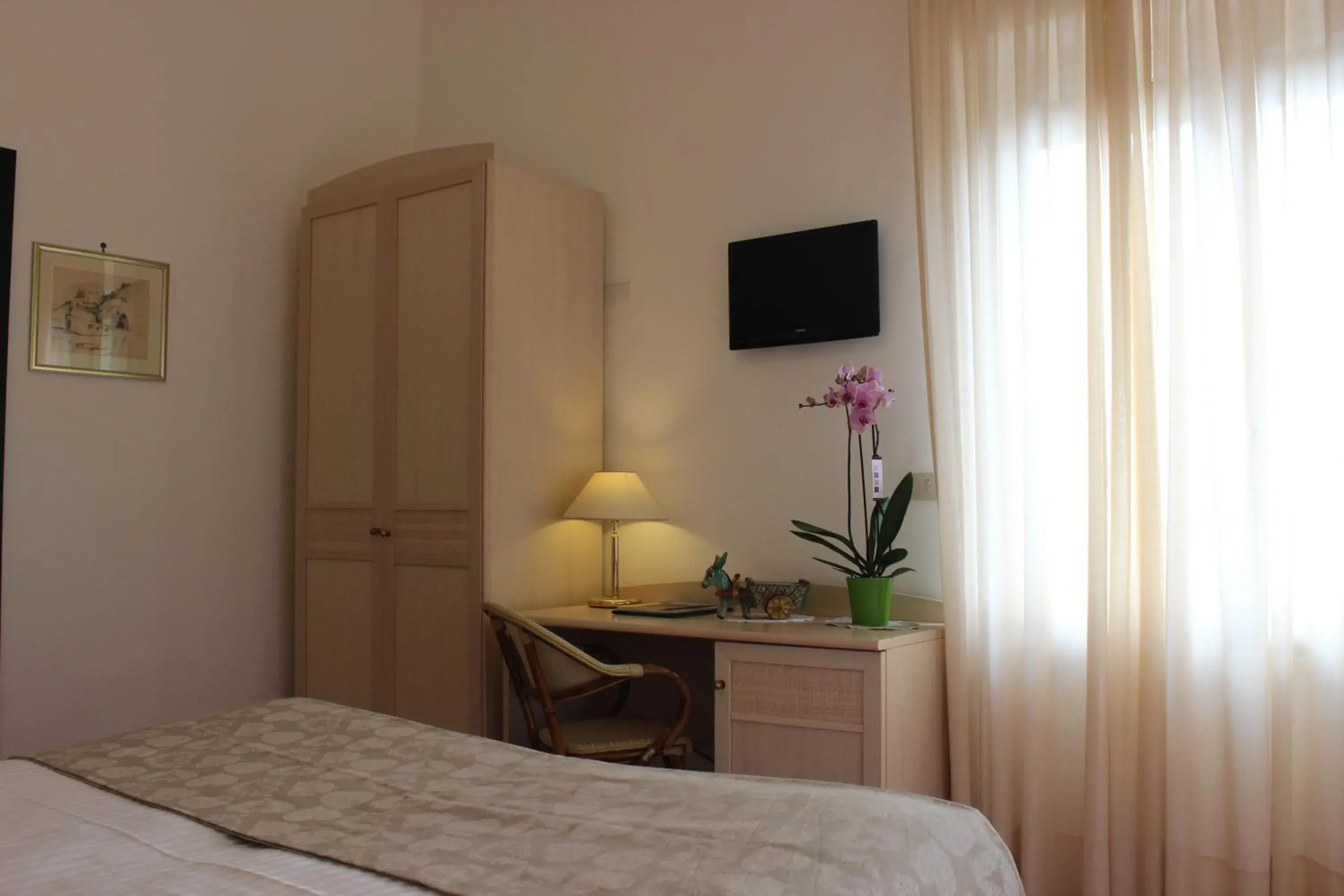 Photo of the whole room in Hotel Miramare Photo of the whole room in Hotel Miramare