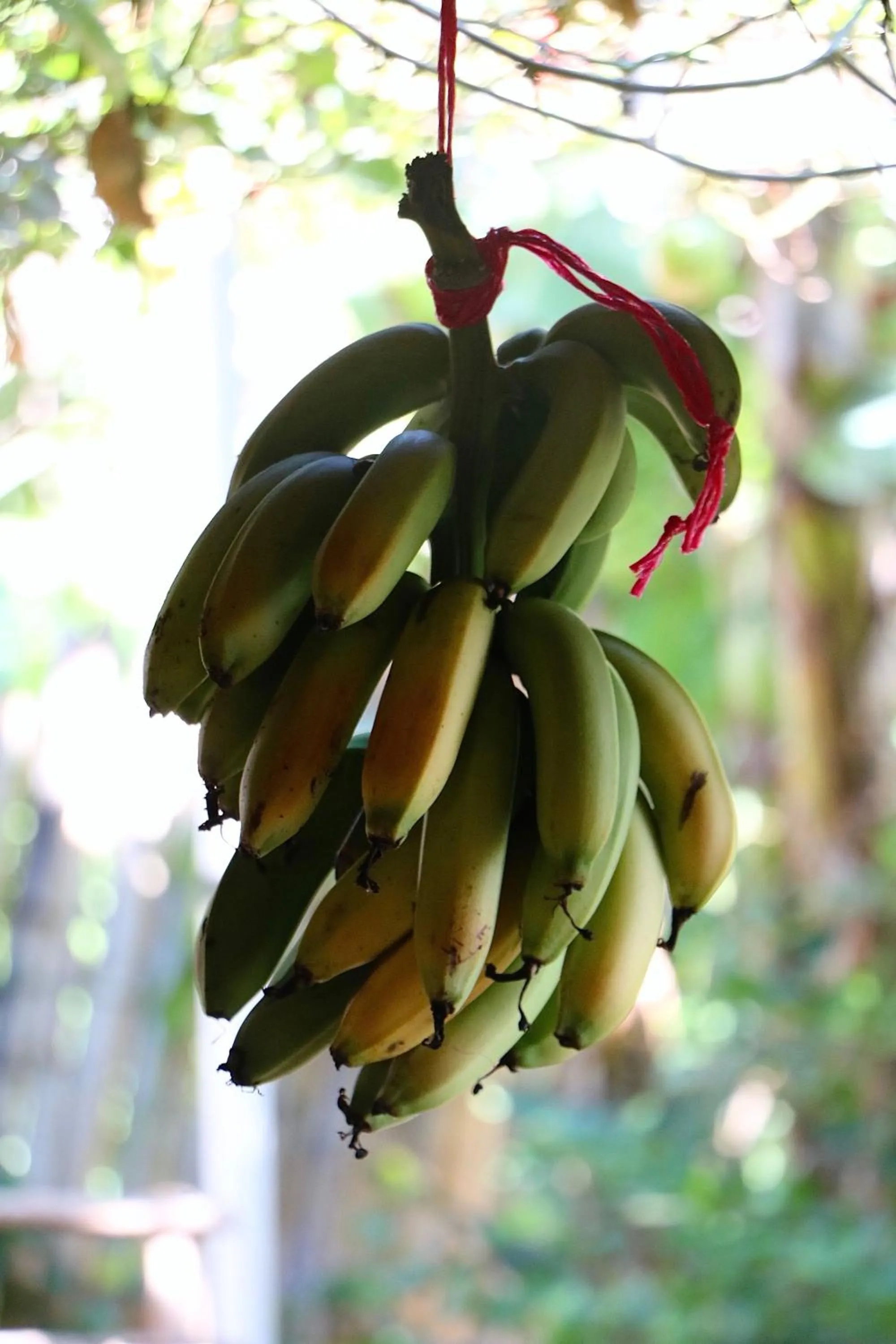 Breakfast in Le BDM PLAYITA