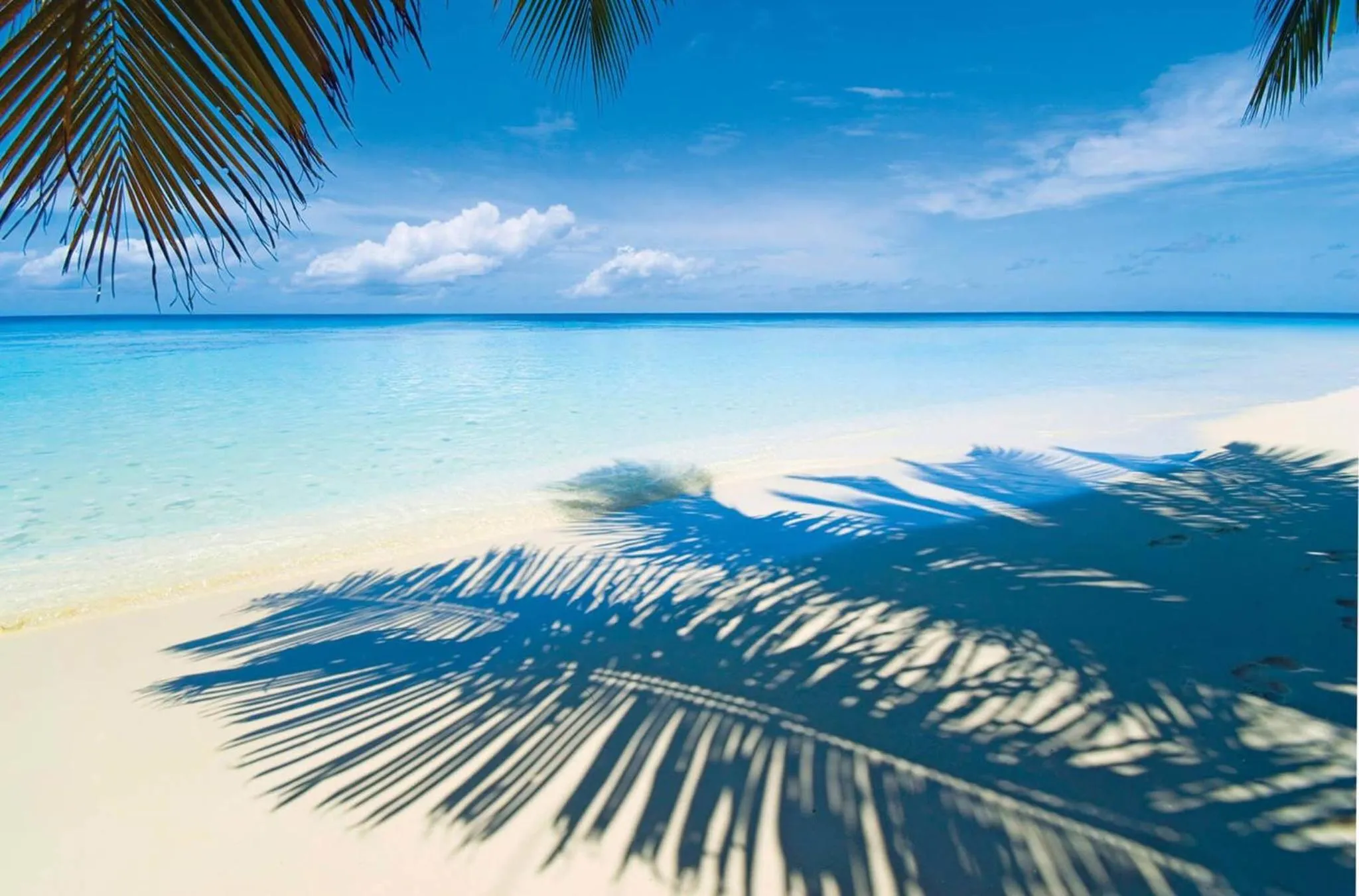 Snorkeling in Le BDM PLAYITA