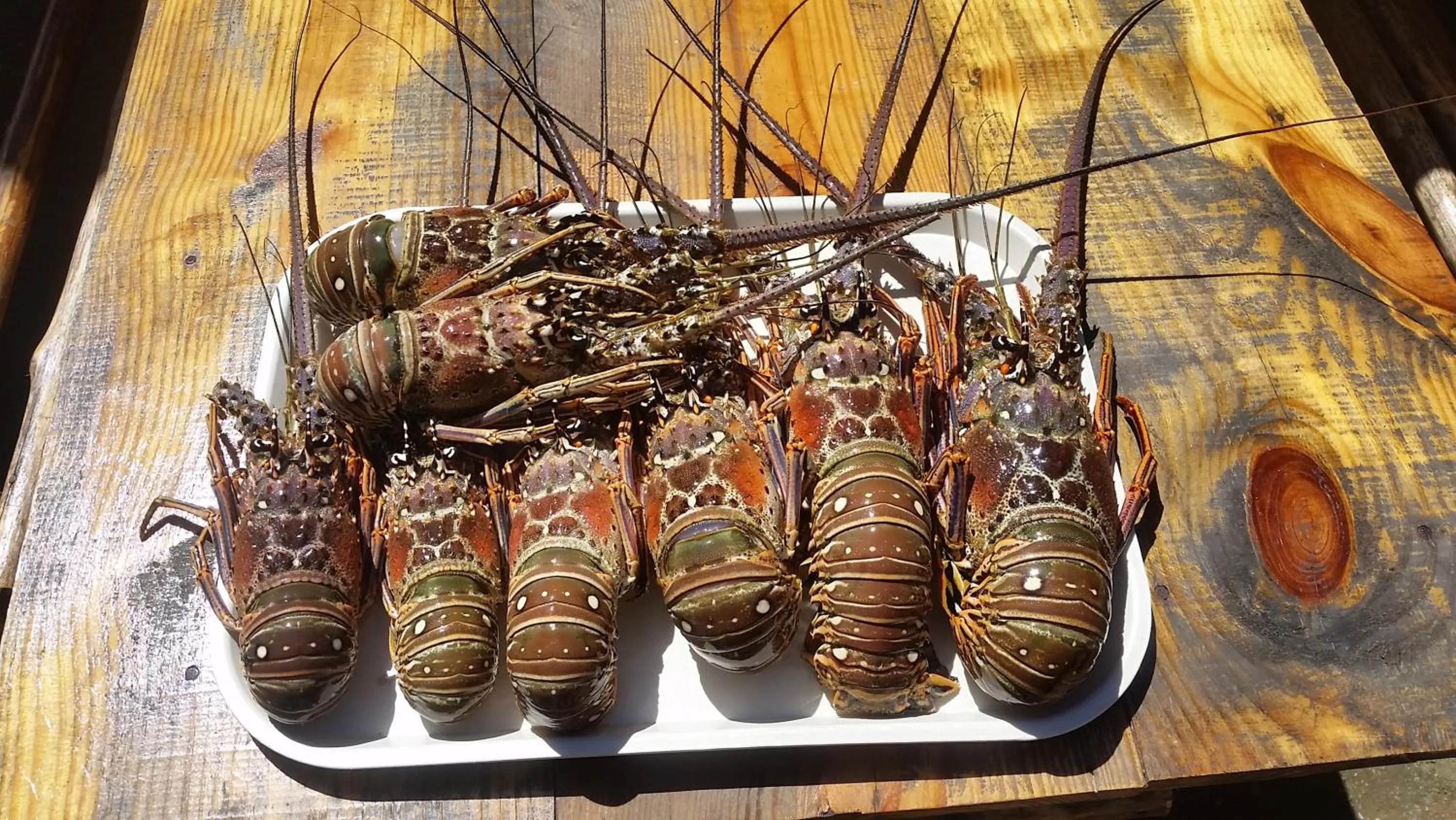 Restaurant/places to eat in Le BDM PLAYITA