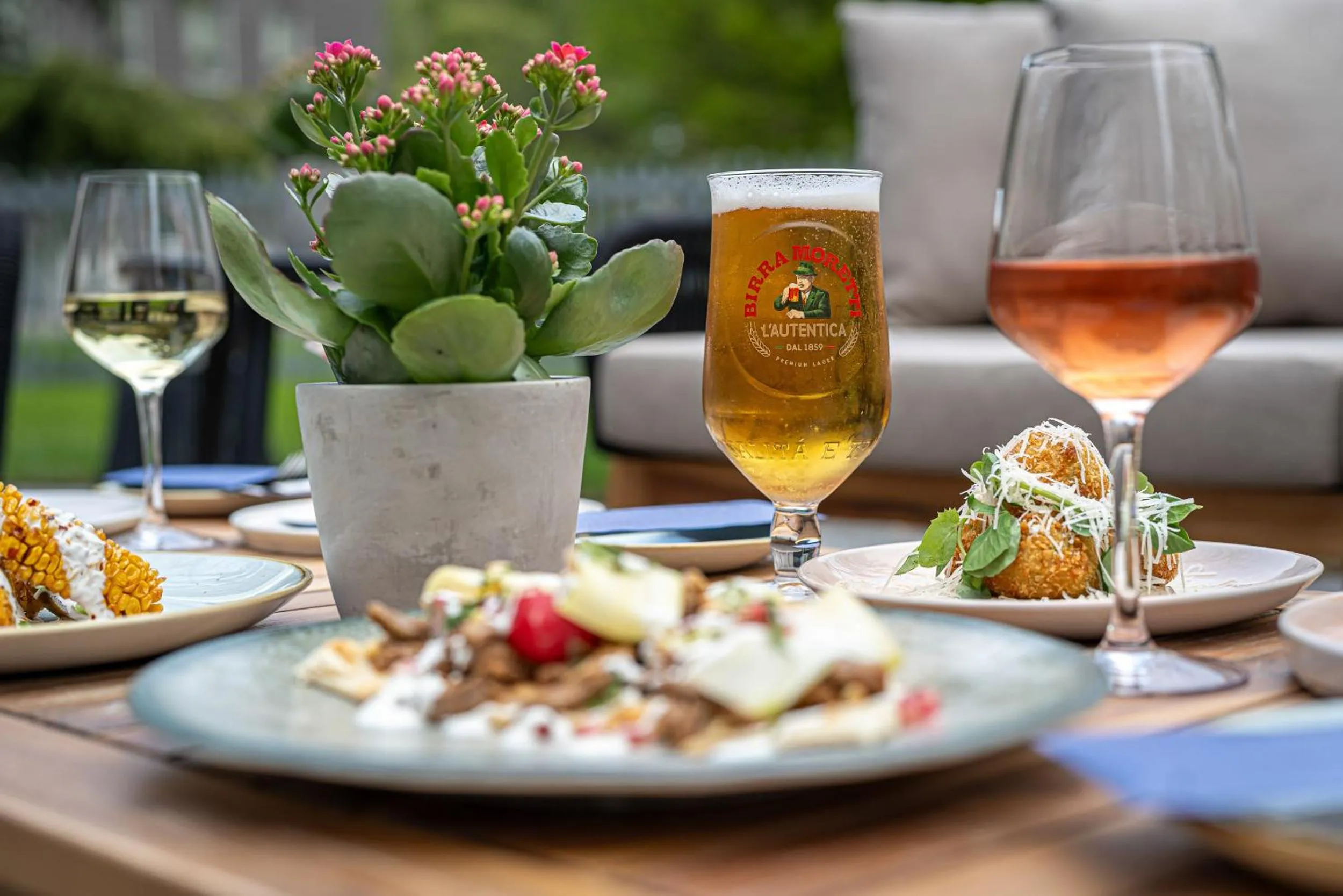 Garden in The Scholar