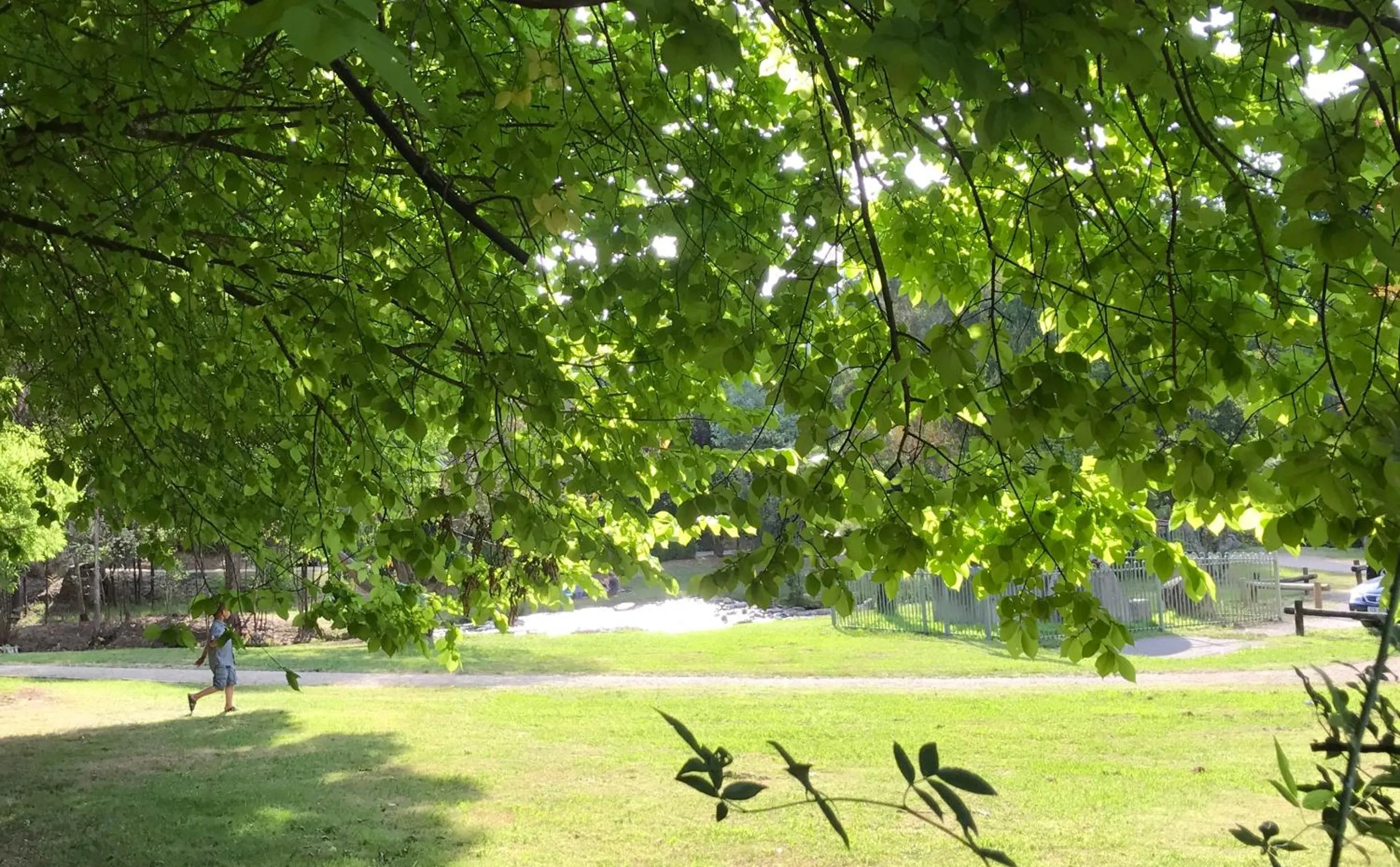 Natural landscape in Goldberryaccommodation