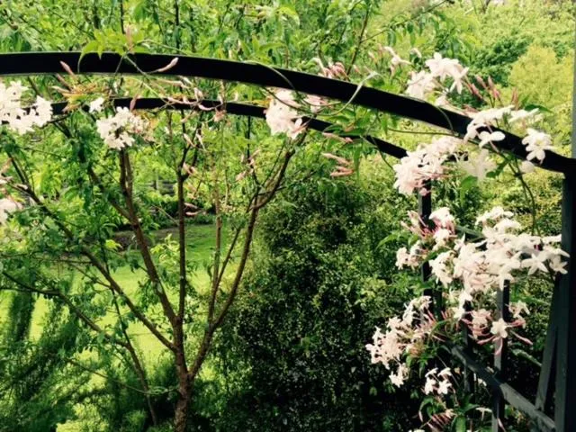 Garden in Goldberryaccommodation
