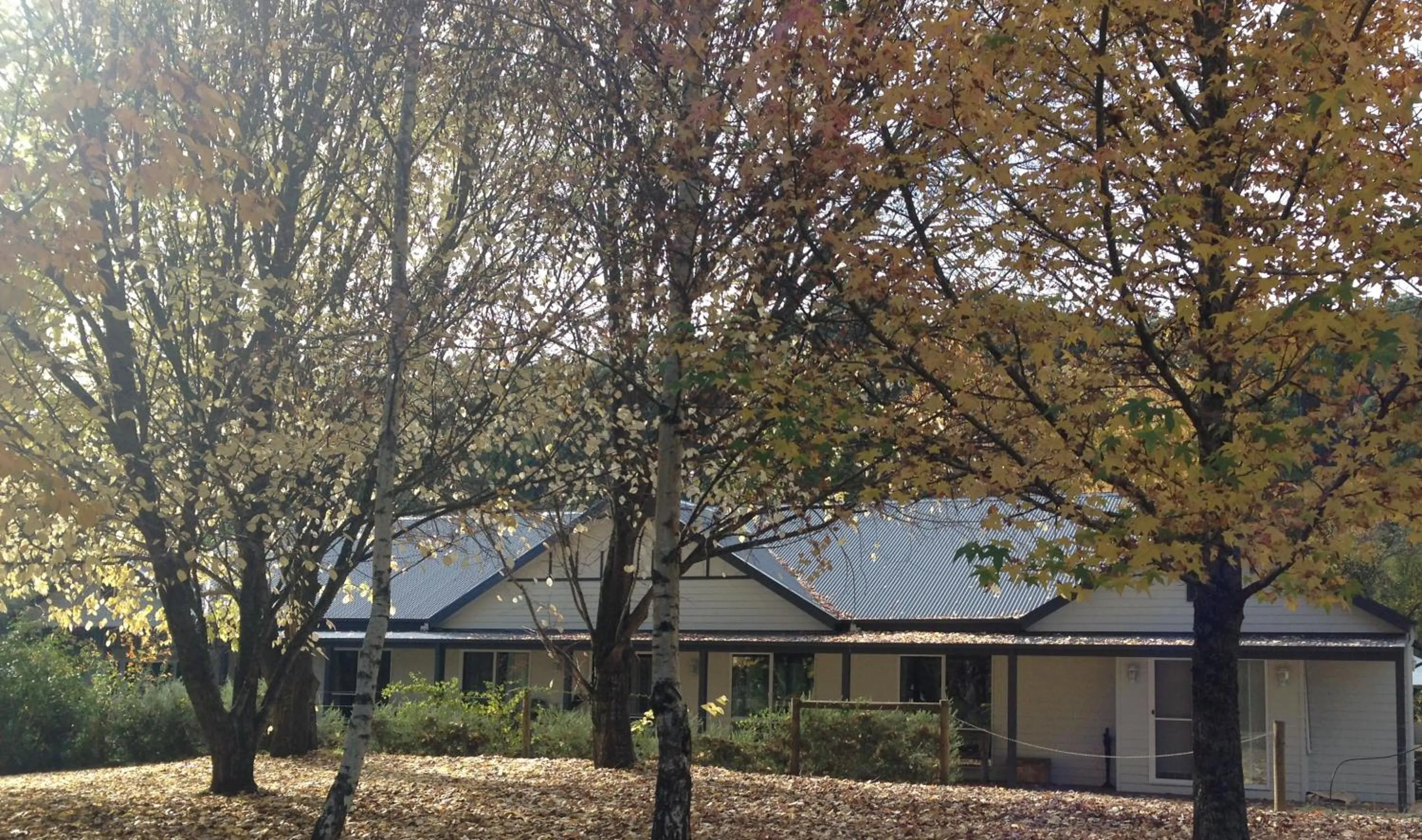 Property building in Goldberryaccommodation