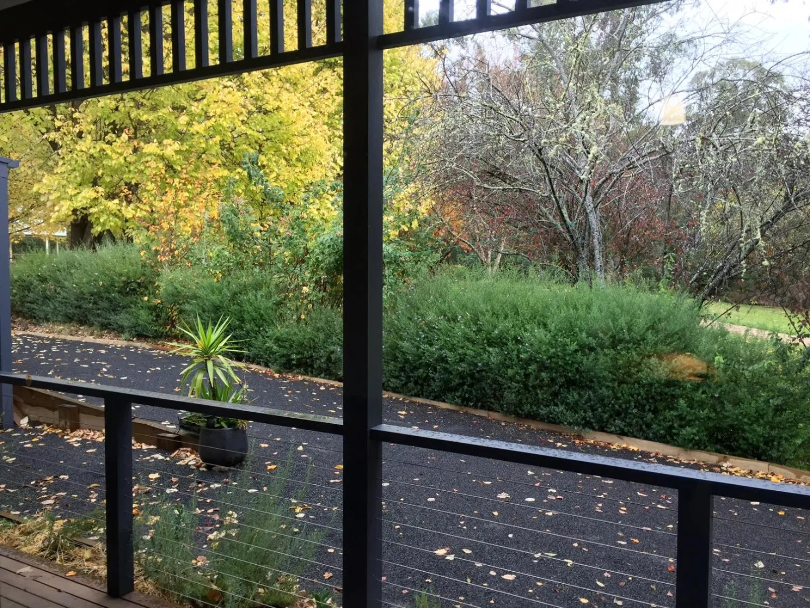 Balcony/Terrace in Goldberryaccommodation