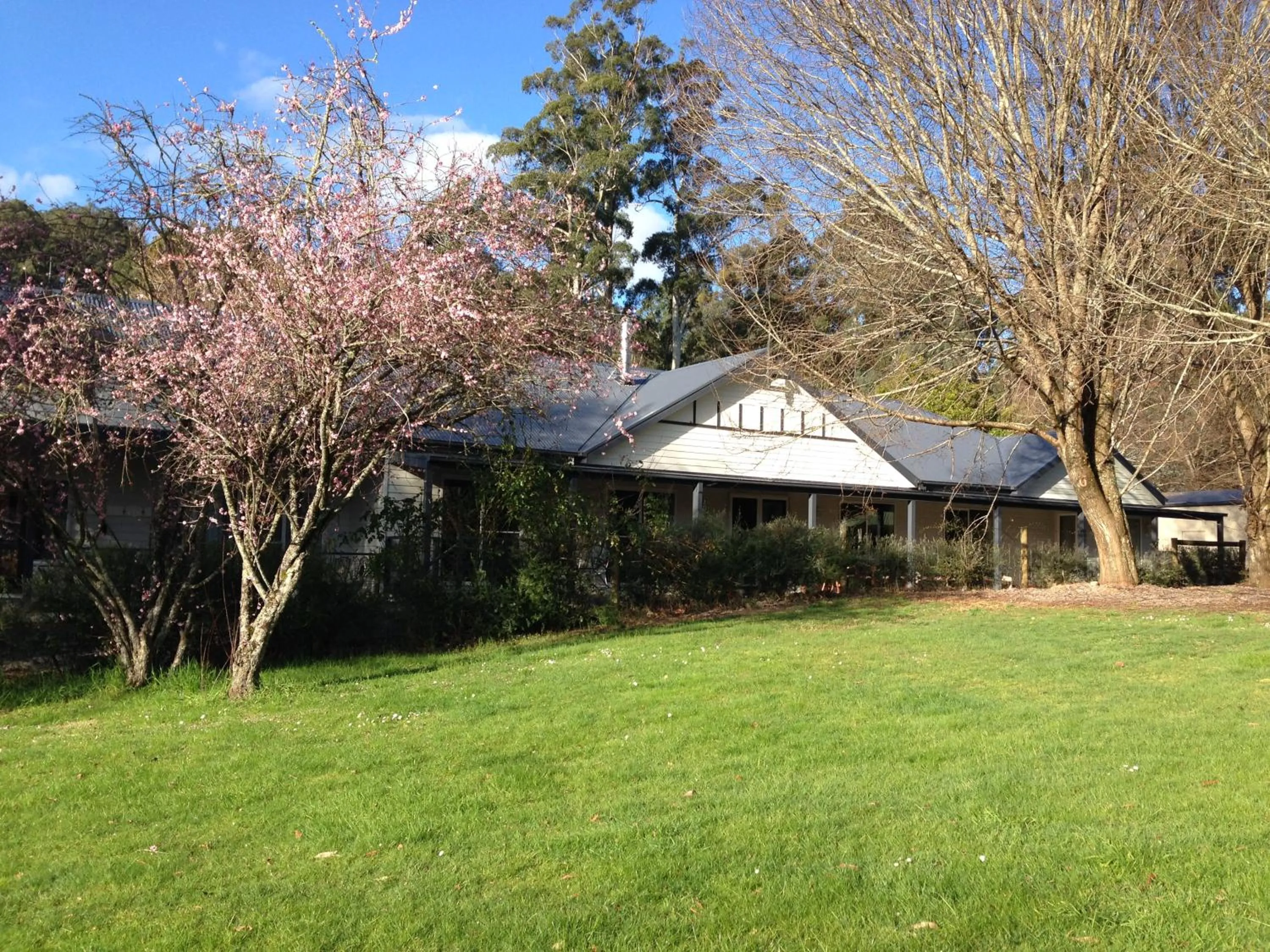 Garden view in Goldberryaccommodation