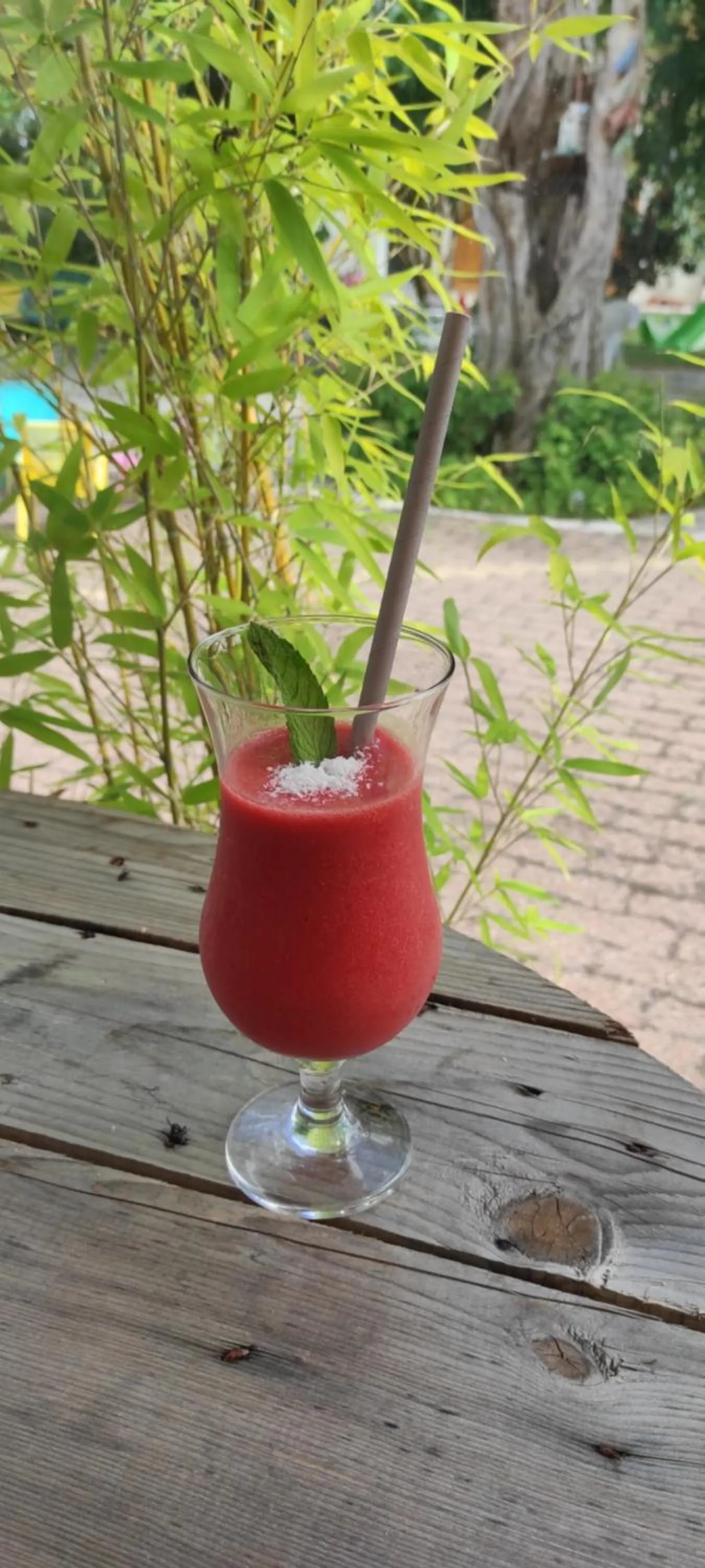 Lounge or bar in Hotel Les Vieux Acacias