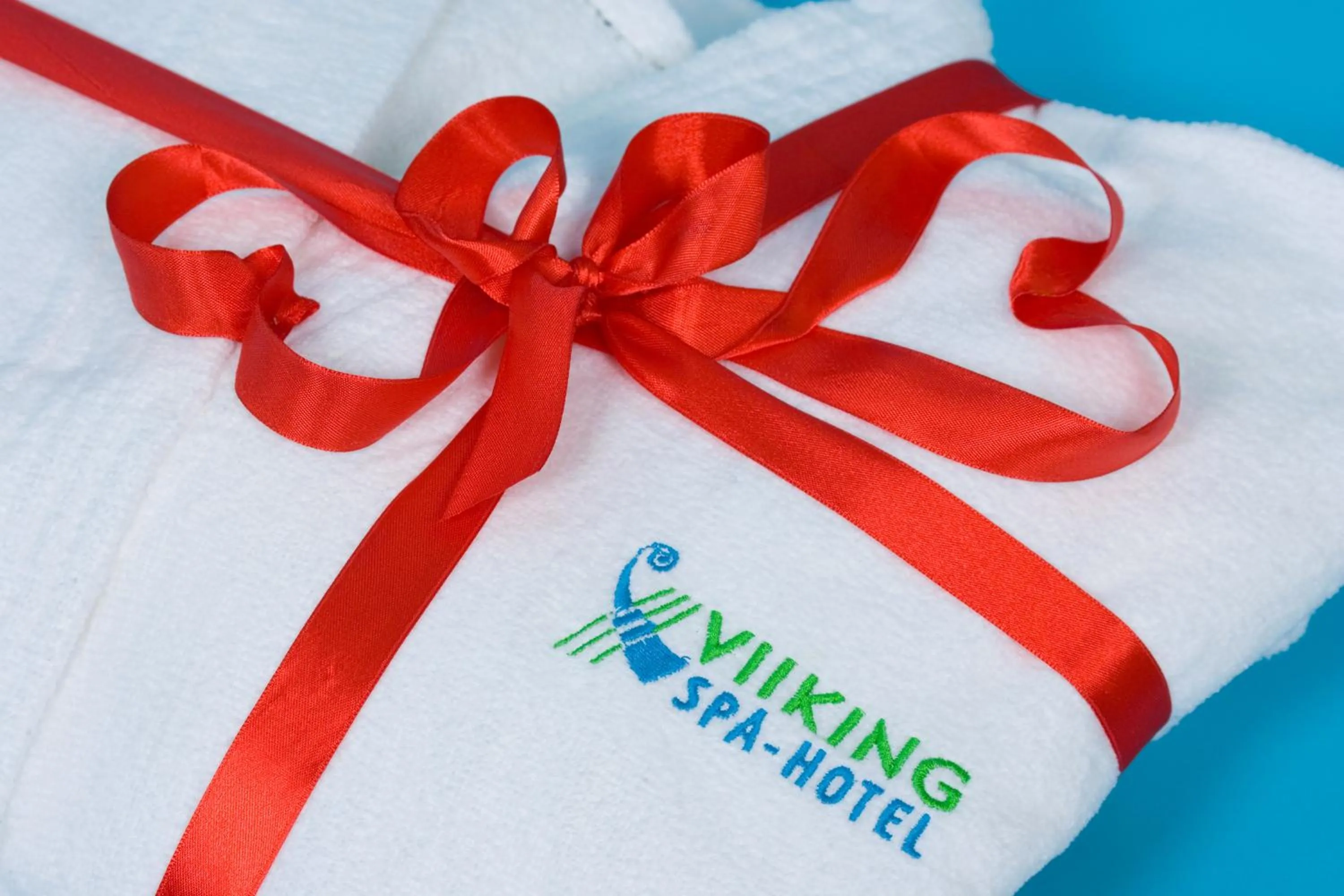 Property logo or sign in Viiking Spa Hotel