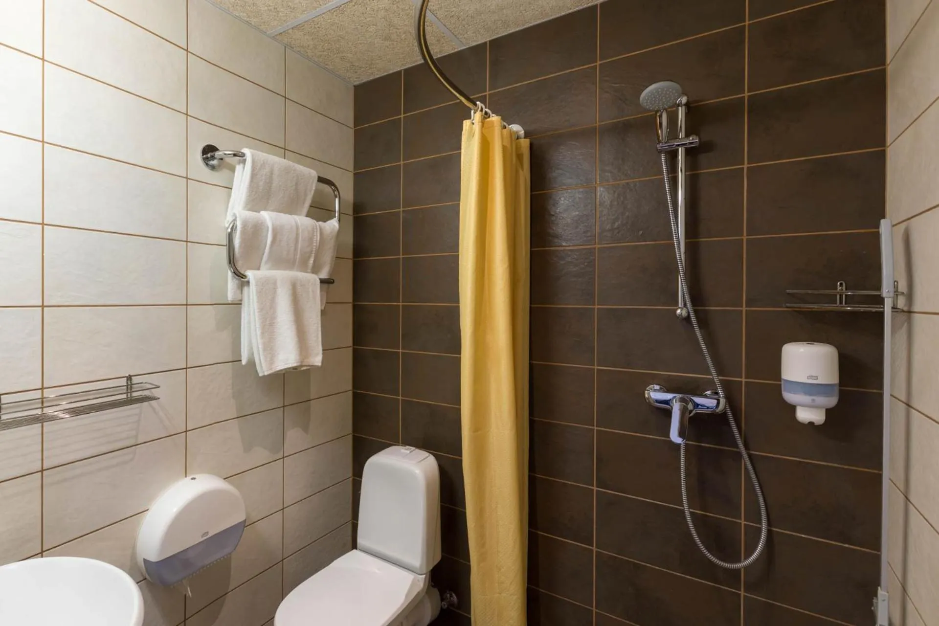 Bathroom in Viiking Spa Hotel