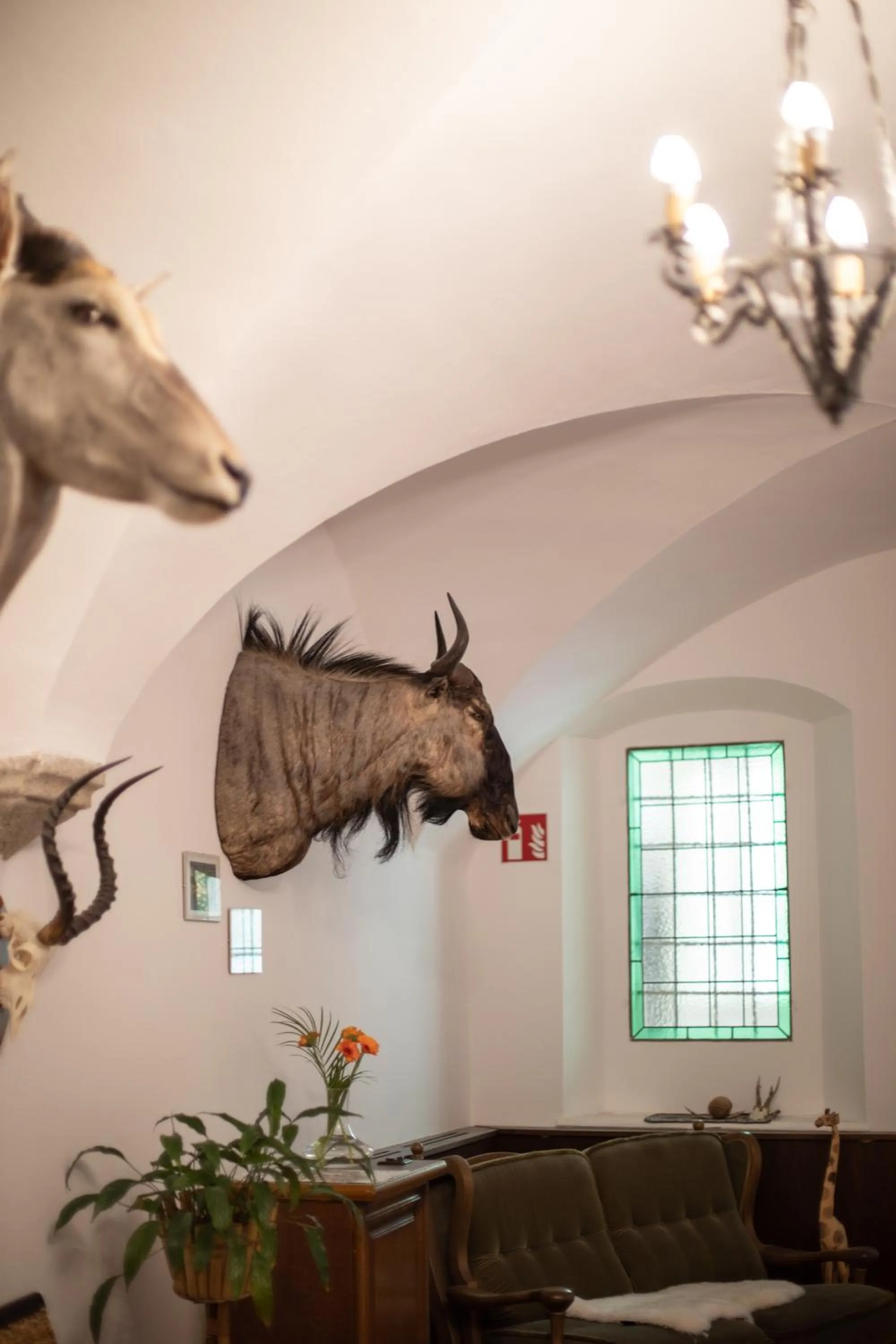 Hotel Zum Goldenen Hirschen