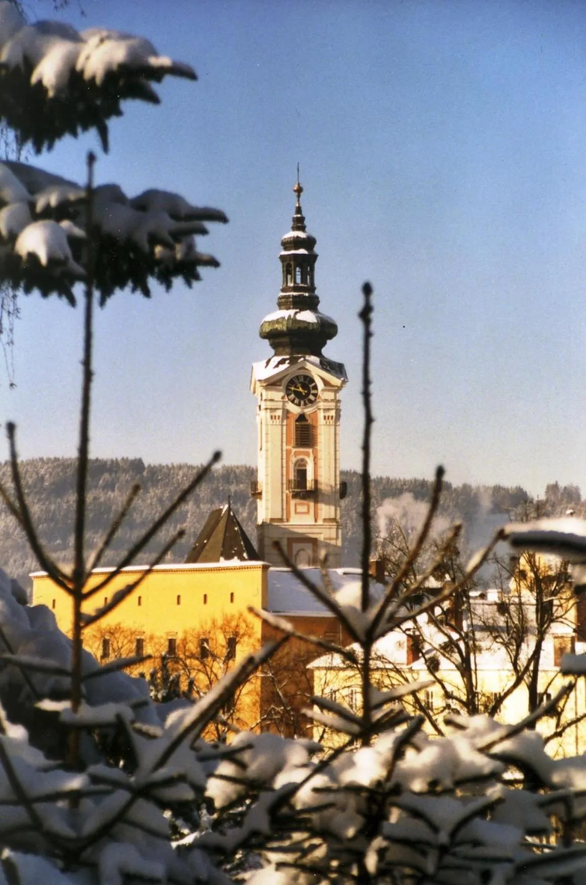 Area and facilities in Hotel Zum Goldenen Hirschen