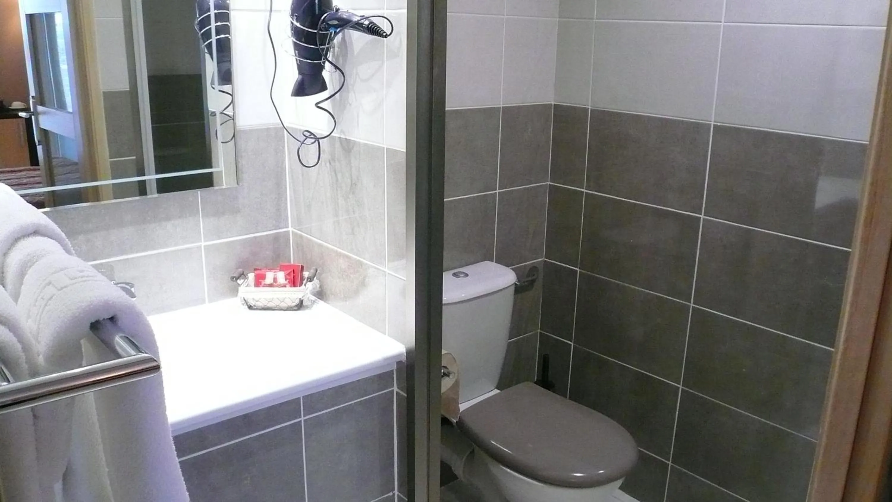 Toilet in Hôtel L'Européen