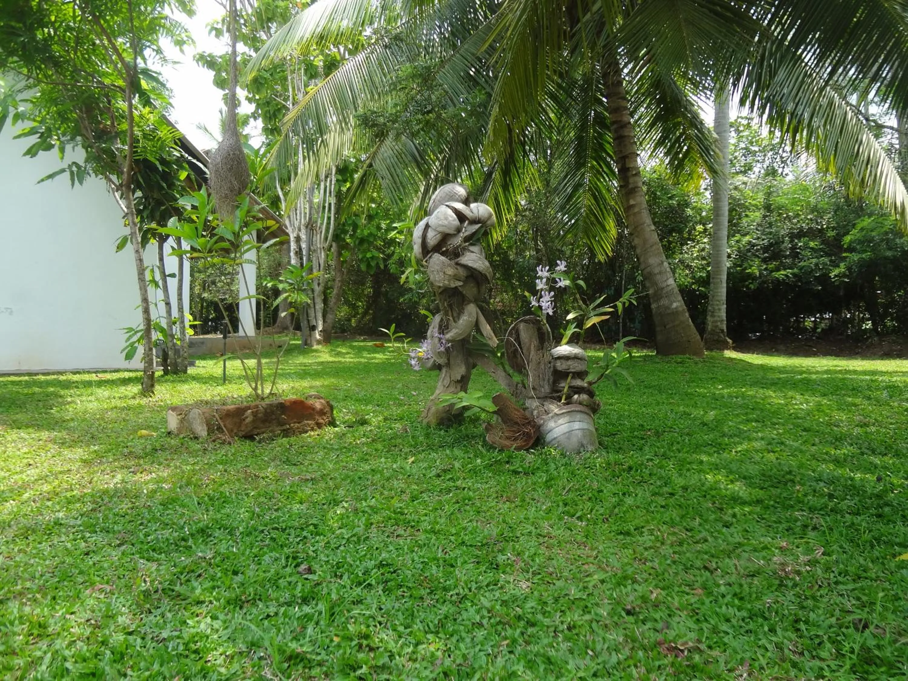 Garden in Thamaya Heritance Tangalle