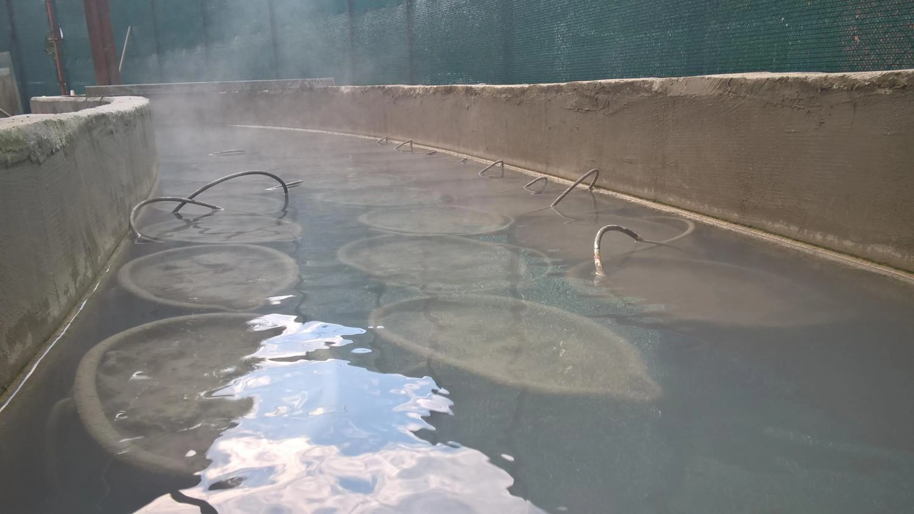 Hot Spring Bath in Hotel Terme Belvedere