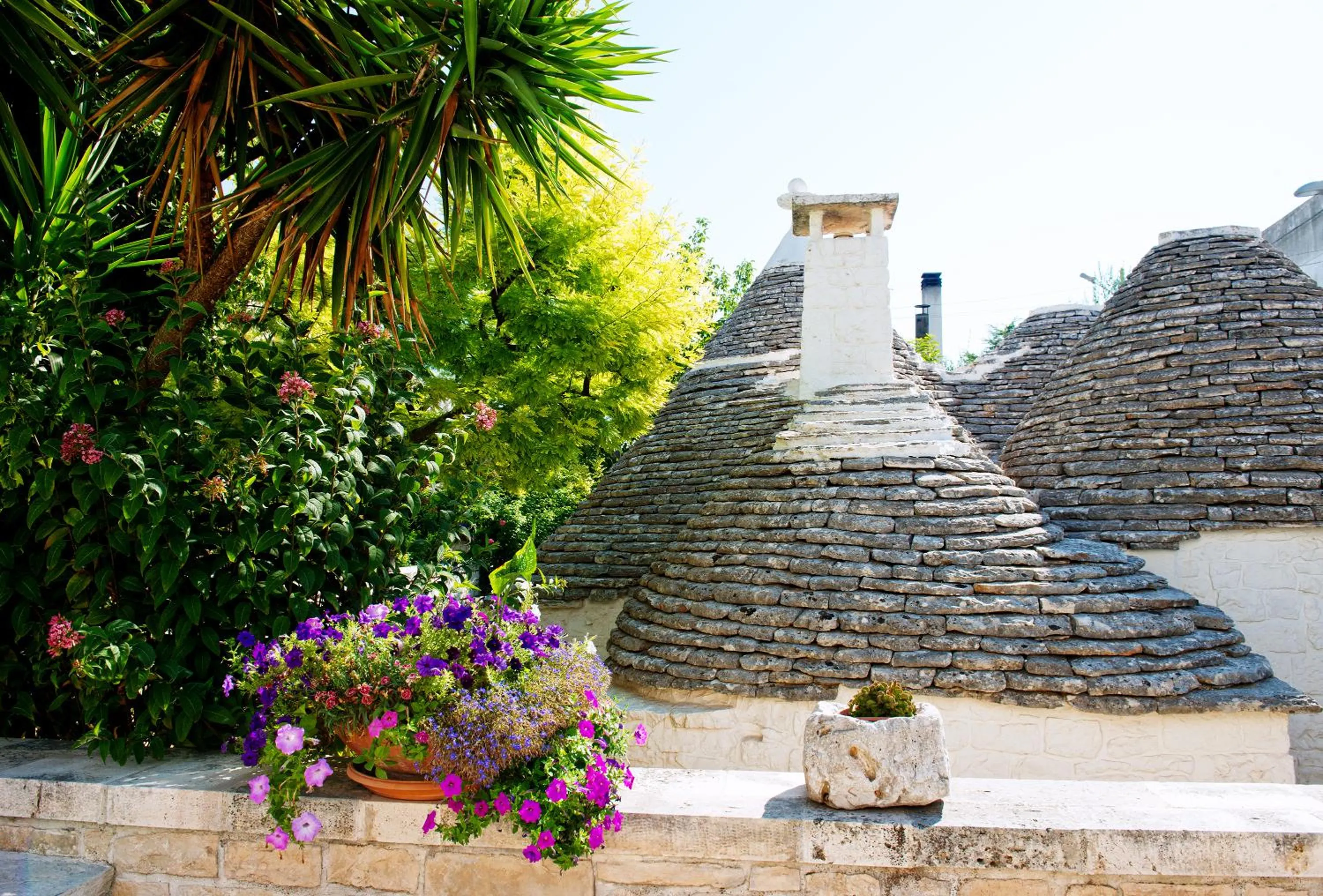 Garden in Trullo Giardino Fiorito