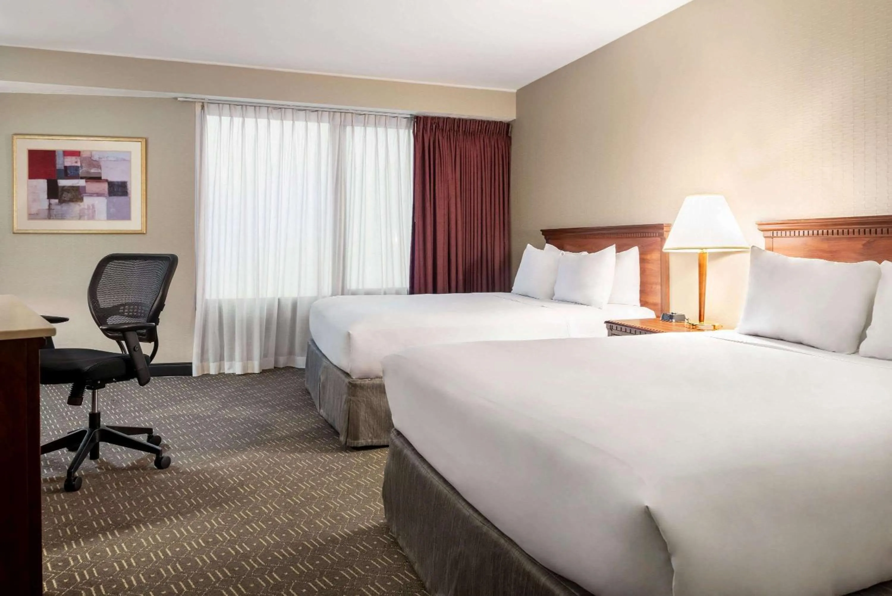 Photo of the whole room in Wyndham Springfield City Centre