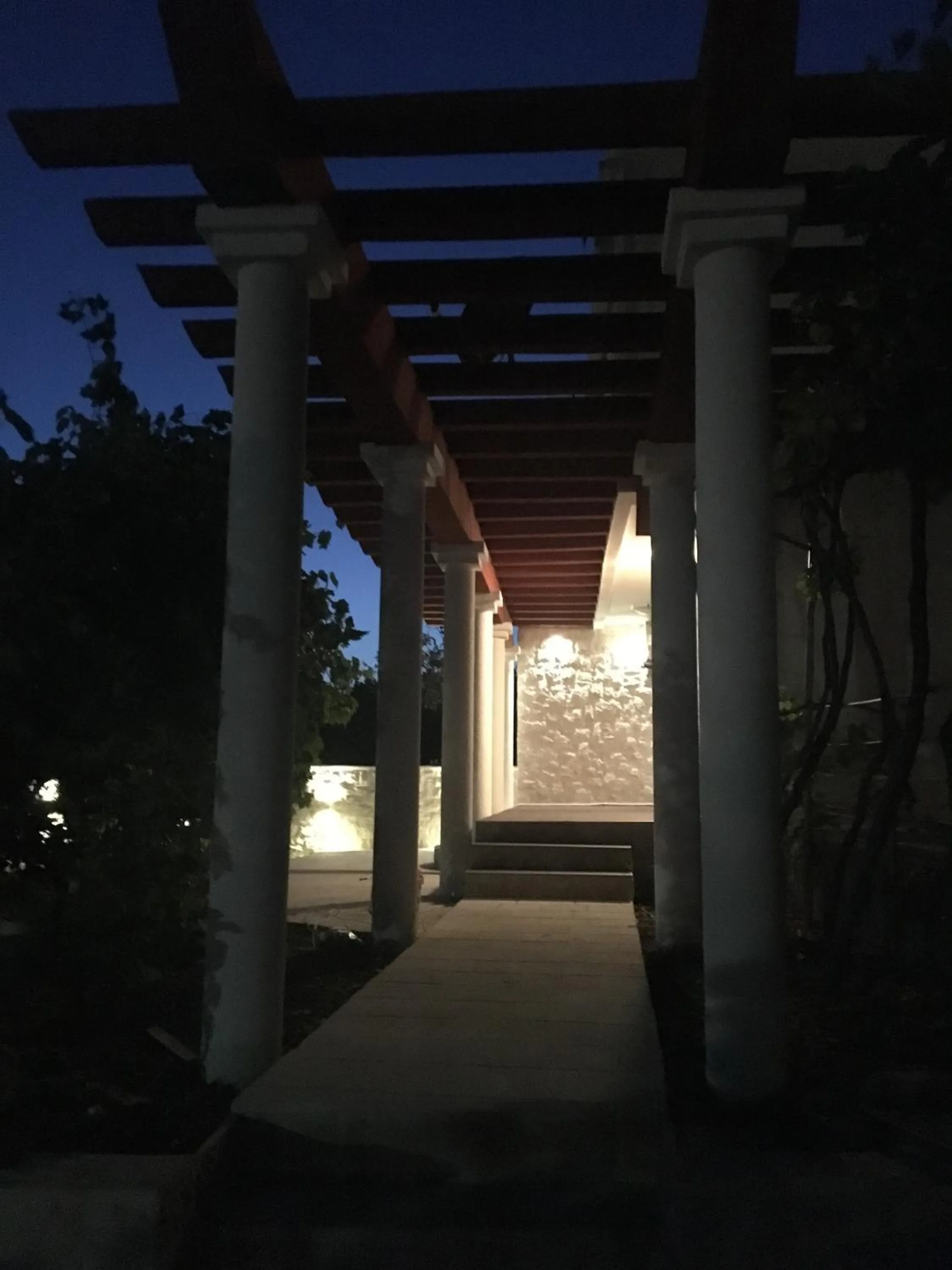 Apartment Apollo