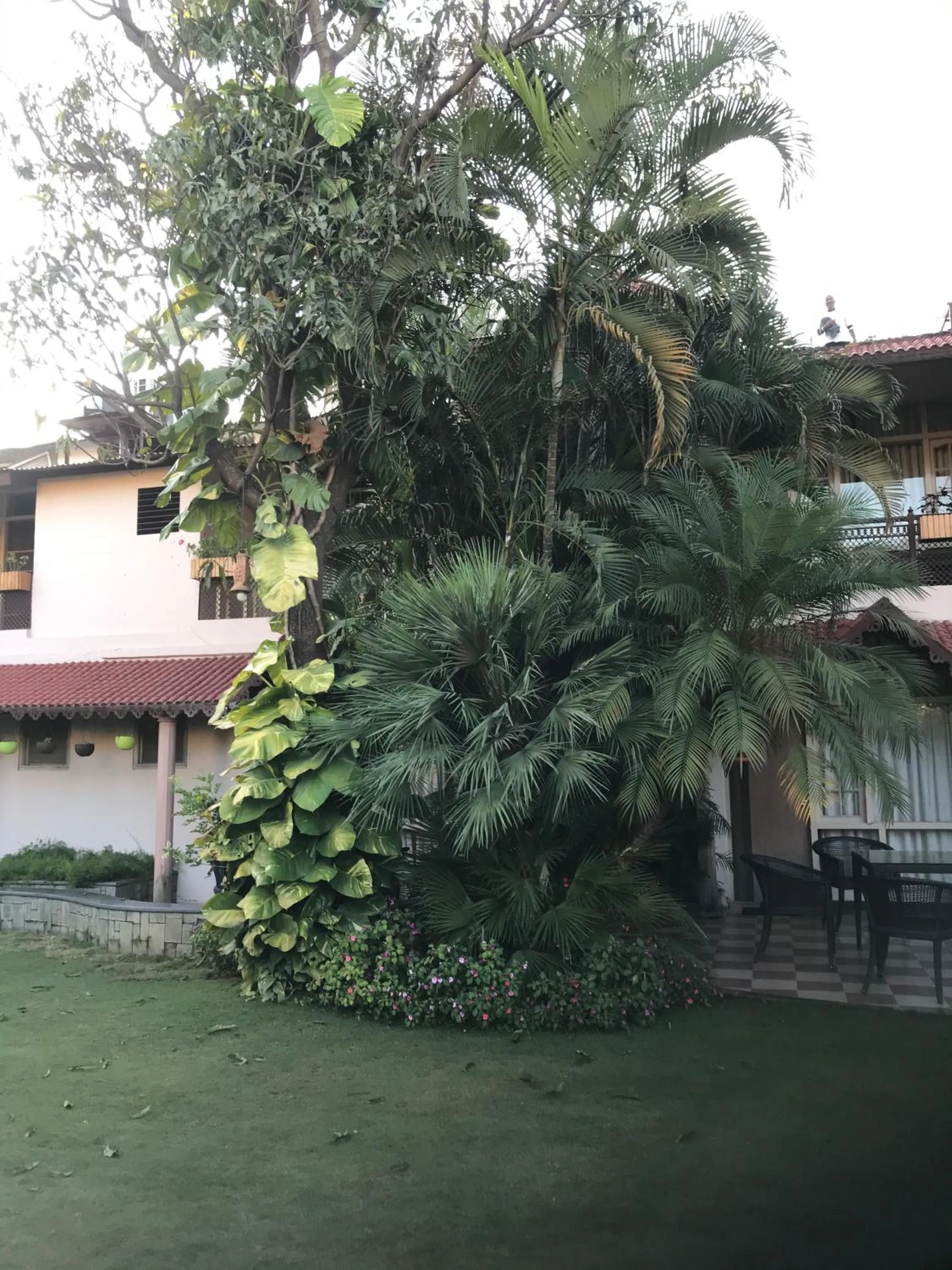 Garden view, Property Building in Hotel Silver Oak