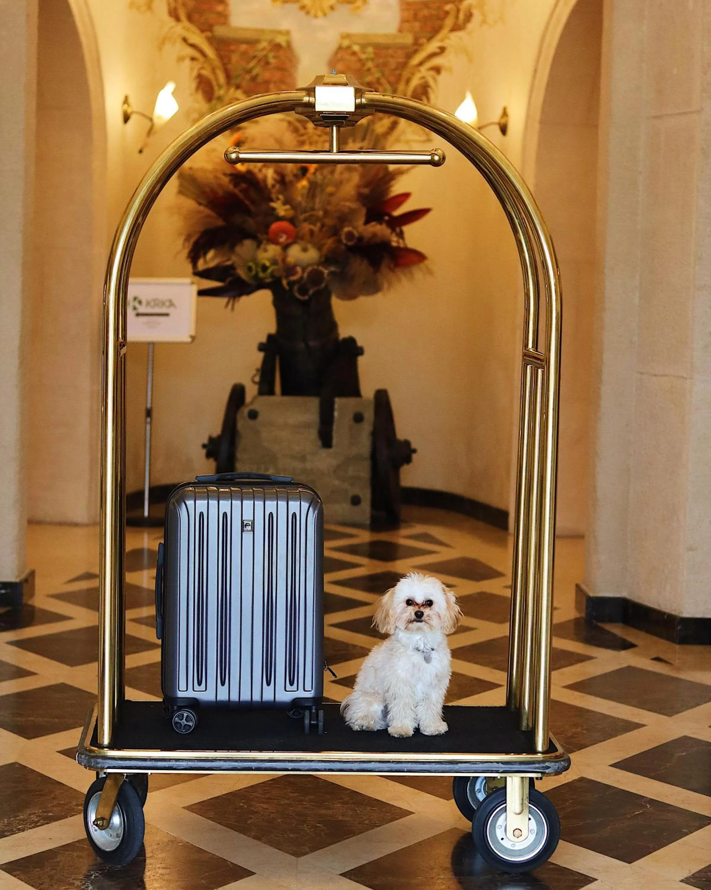 Pets in Citadel Inn Gastro Boutique Hotel - Готель Цитадель Львів