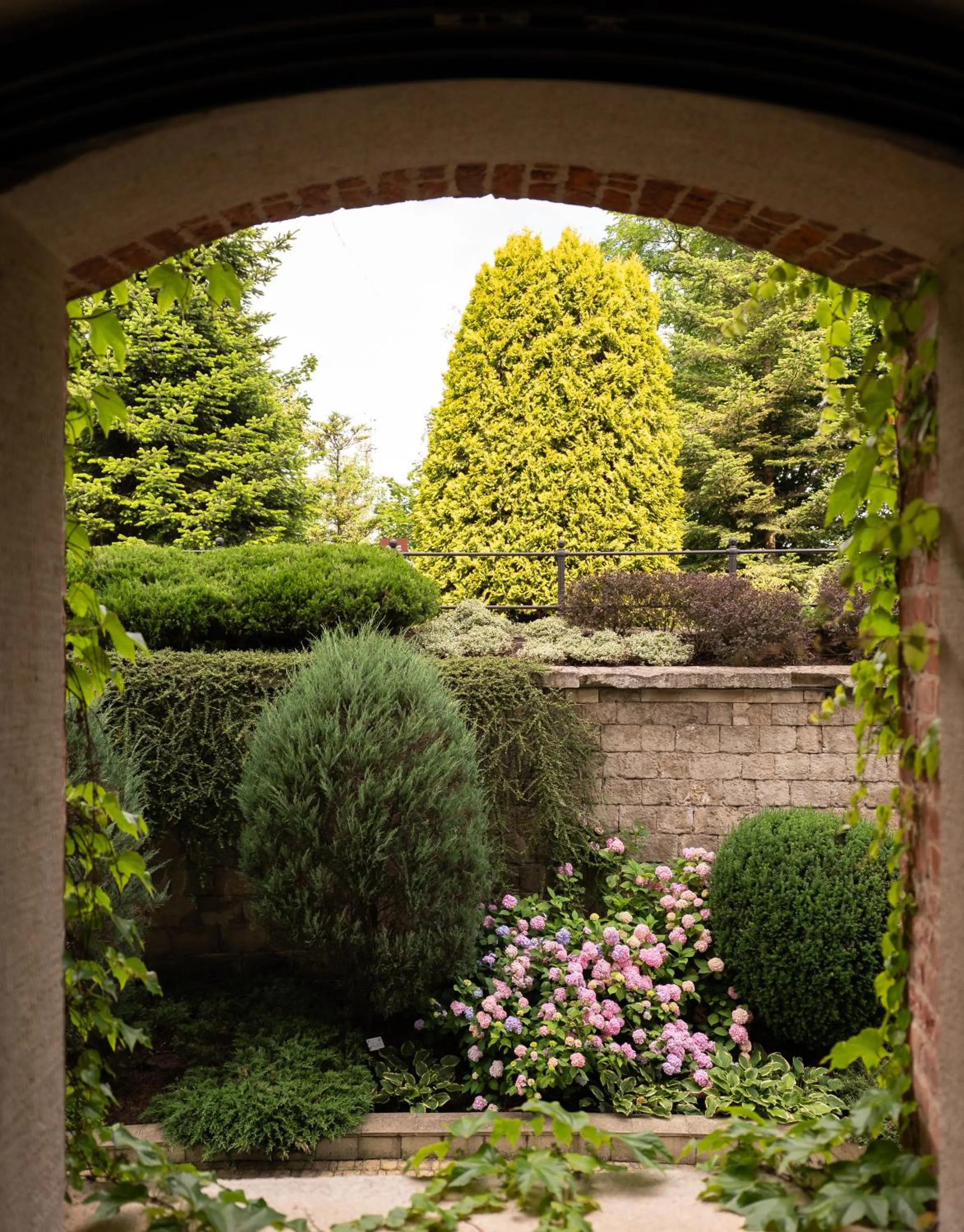 Garden in Citadel Inn Gastro Boutique Hotel - Готель Цитадель Львів