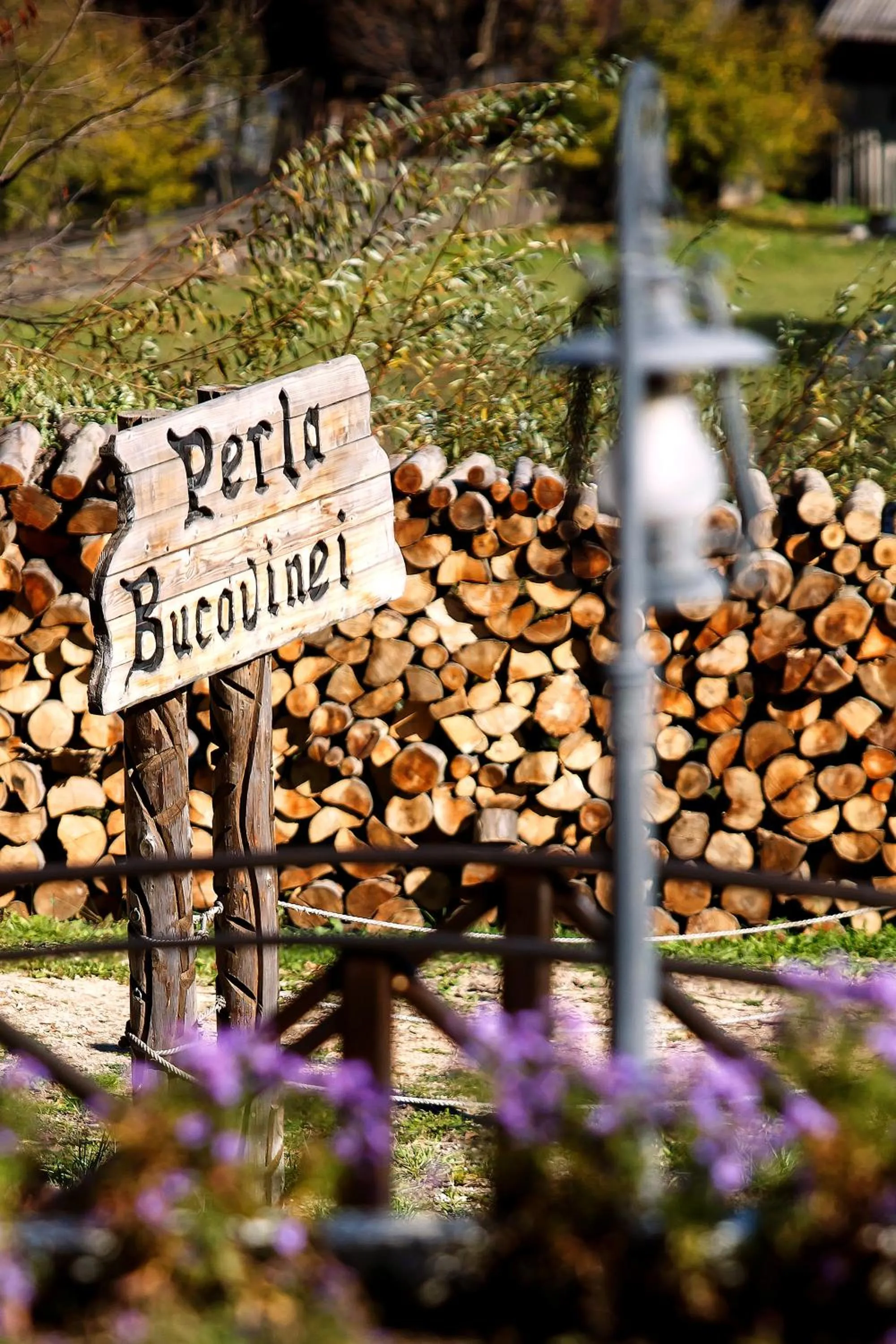 Other in Pension Perla Bucovinei