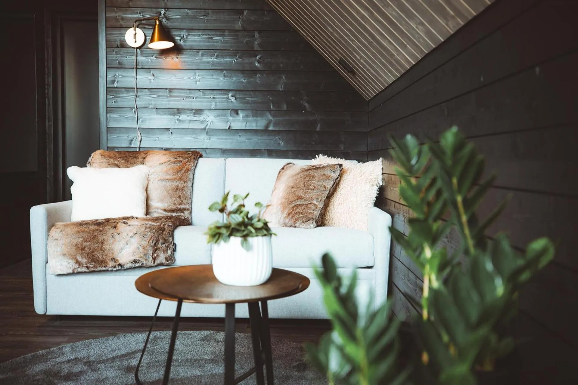 Living room in Apukka Resort