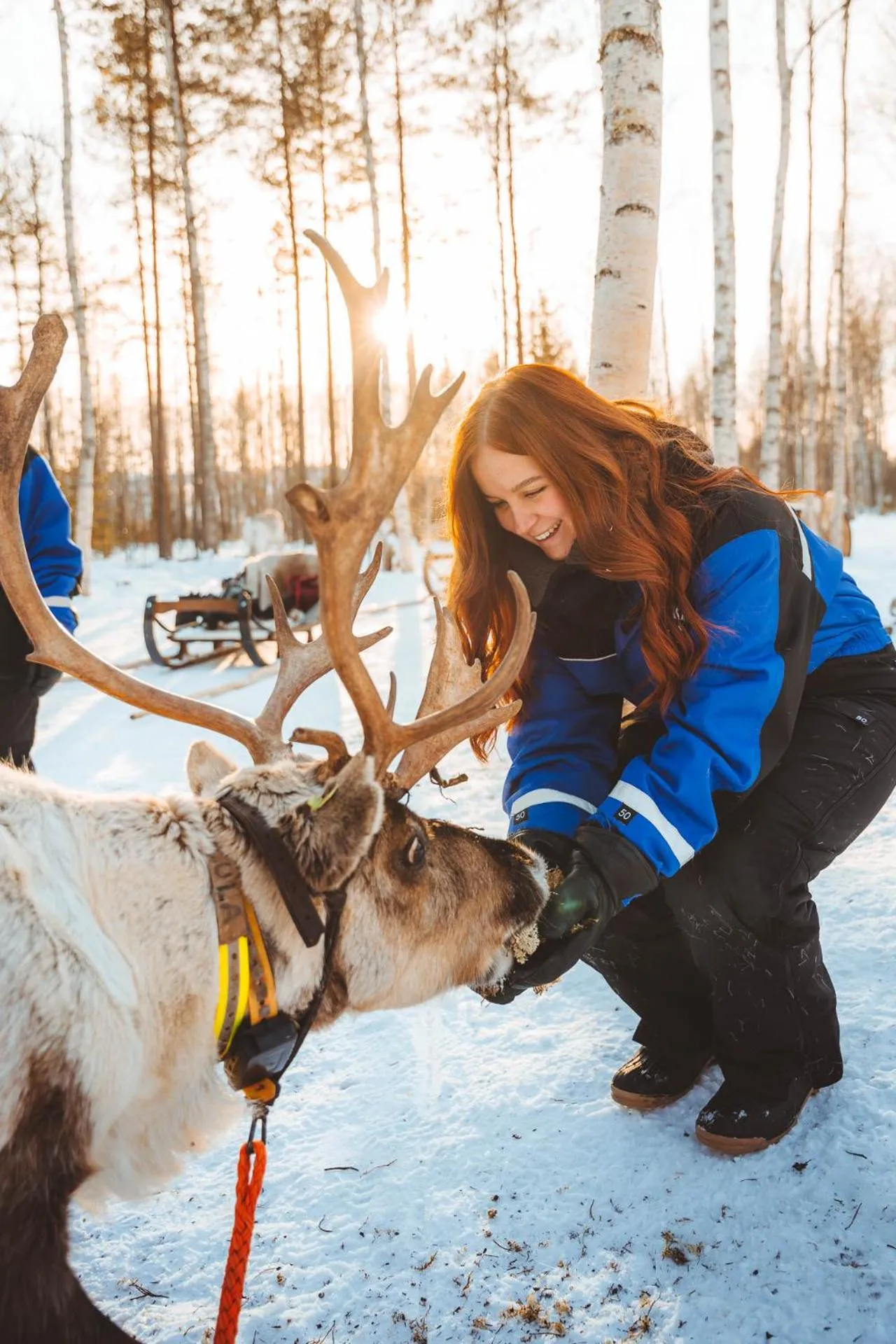 Day in Apukka Resort