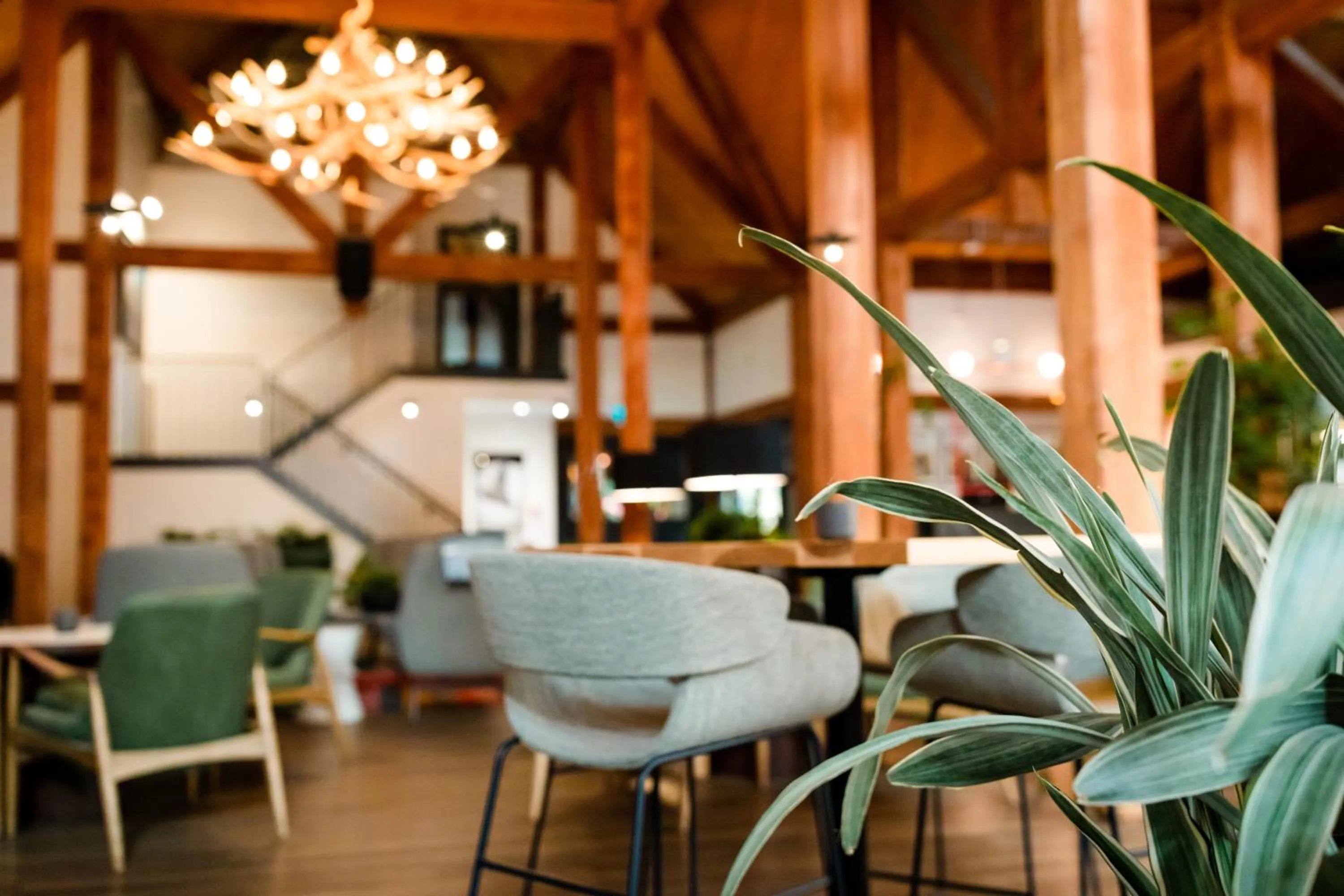 Restaurant/places to eat in Buffalo Mountain Lodge