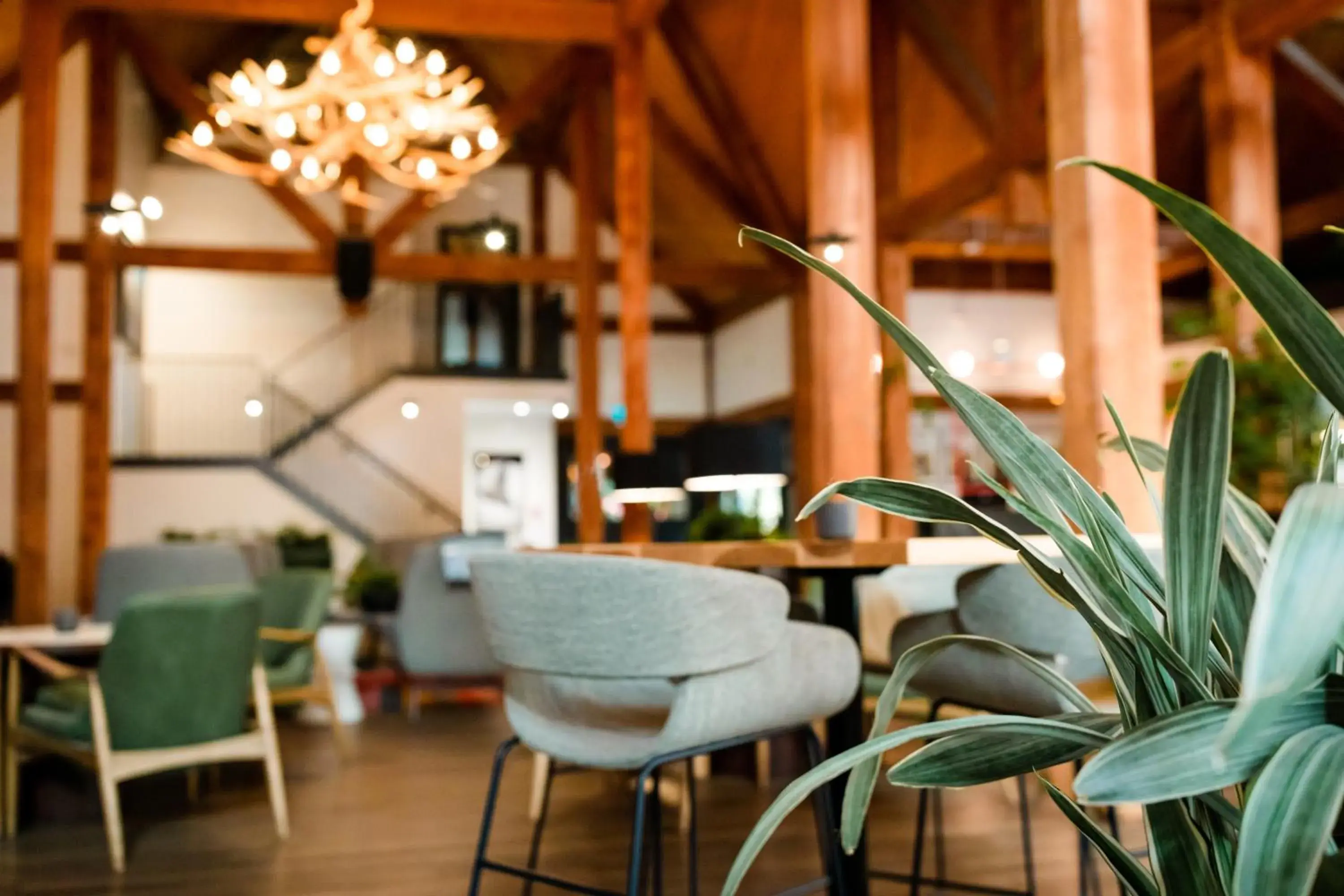 Restaurant/places to eat in Buffalo Mountain Lodge Restaurant/places to eat in Buffalo Mountain Lodge