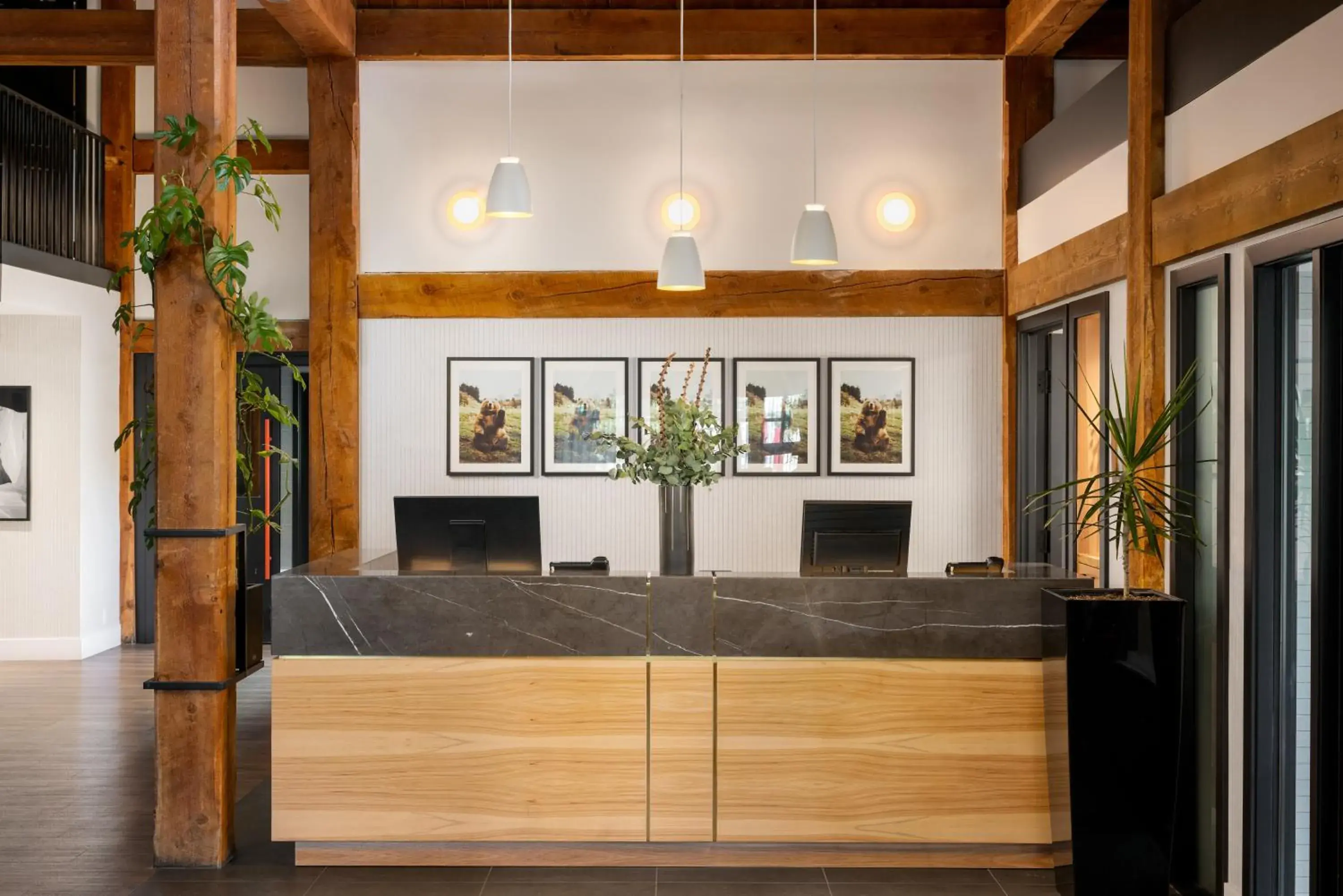 Lobby or reception in Buffalo Mountain Lodge Lobby or reception in Buffalo Mountain Lodge