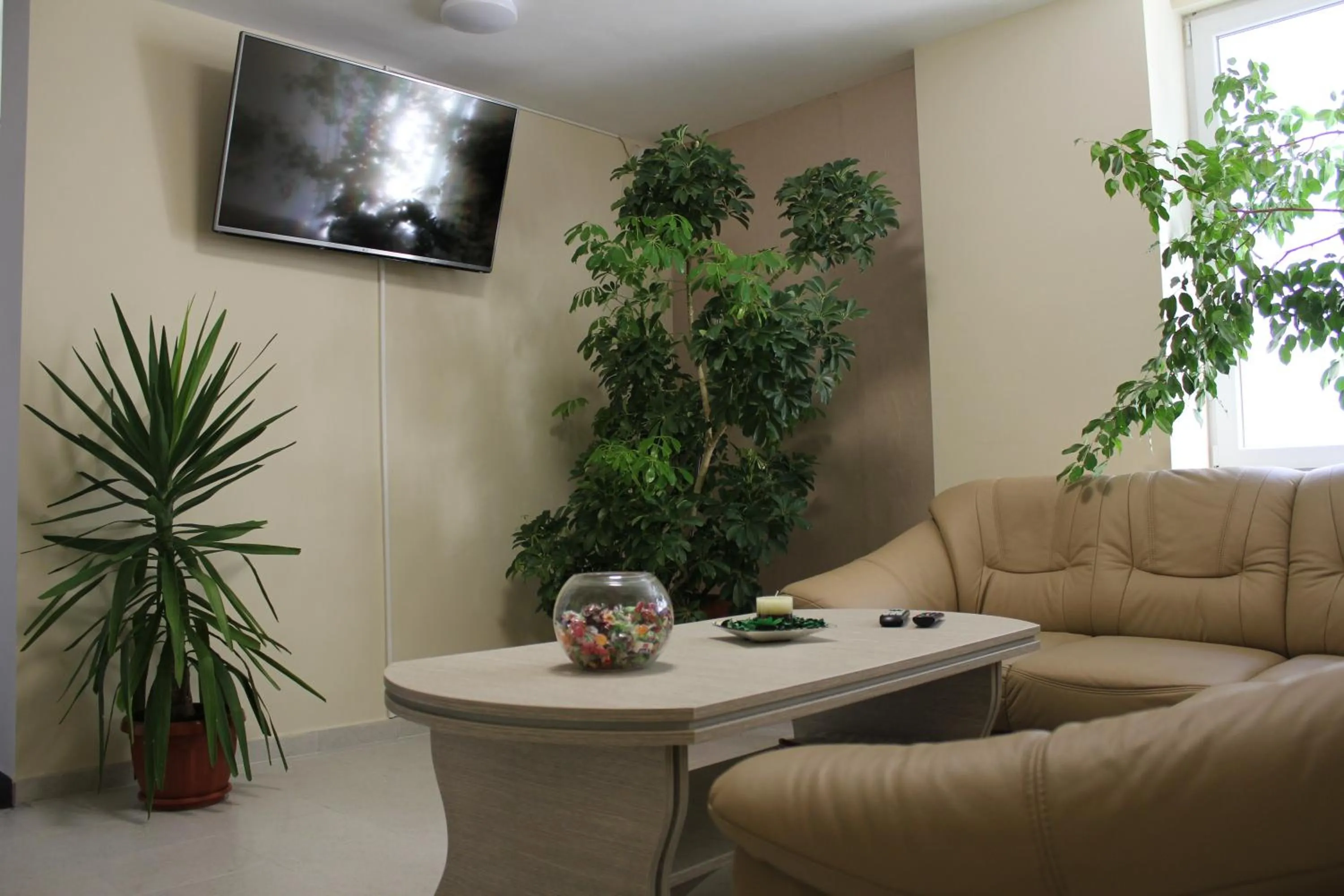 Hostel Penev