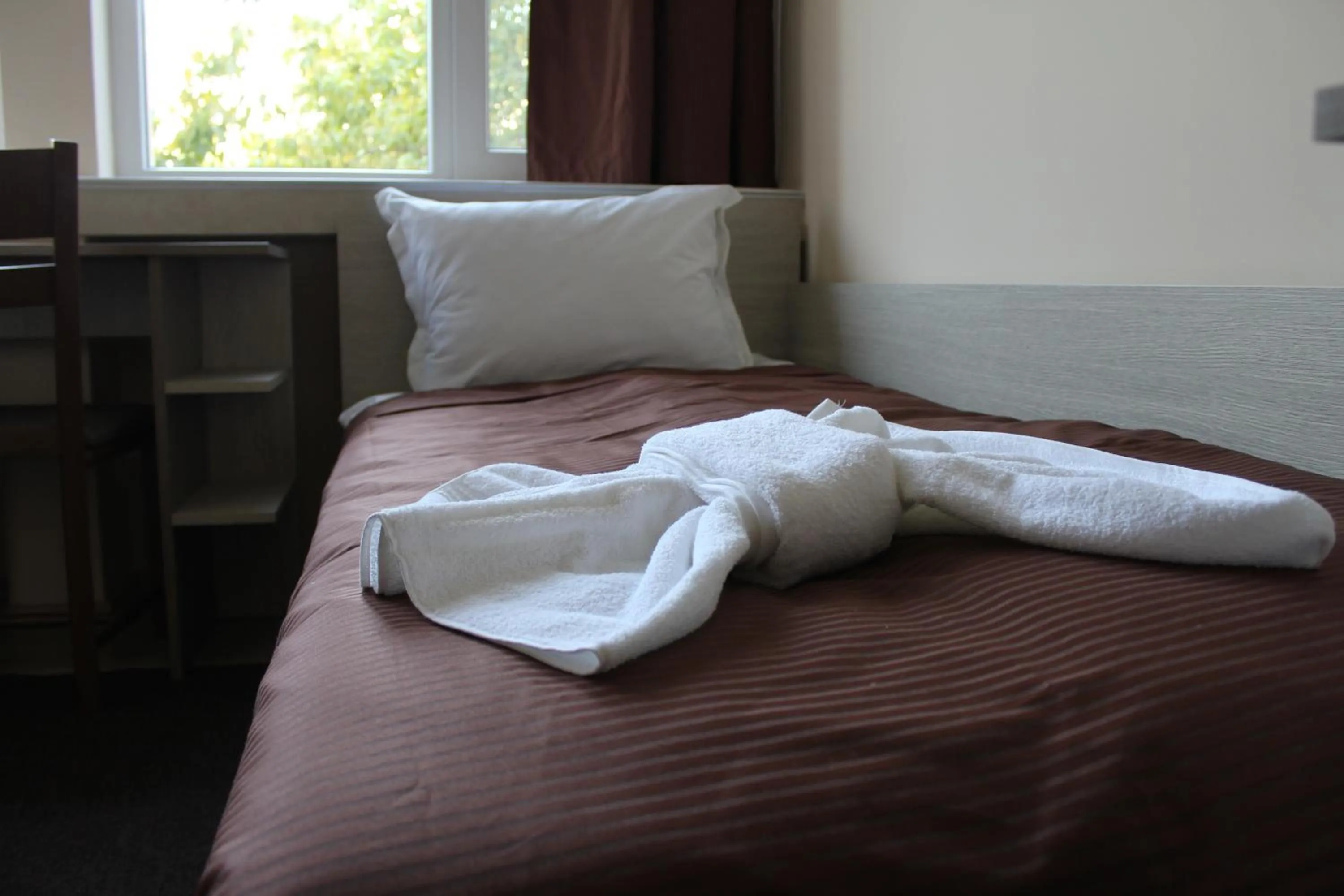 Bed in Hostel Penev