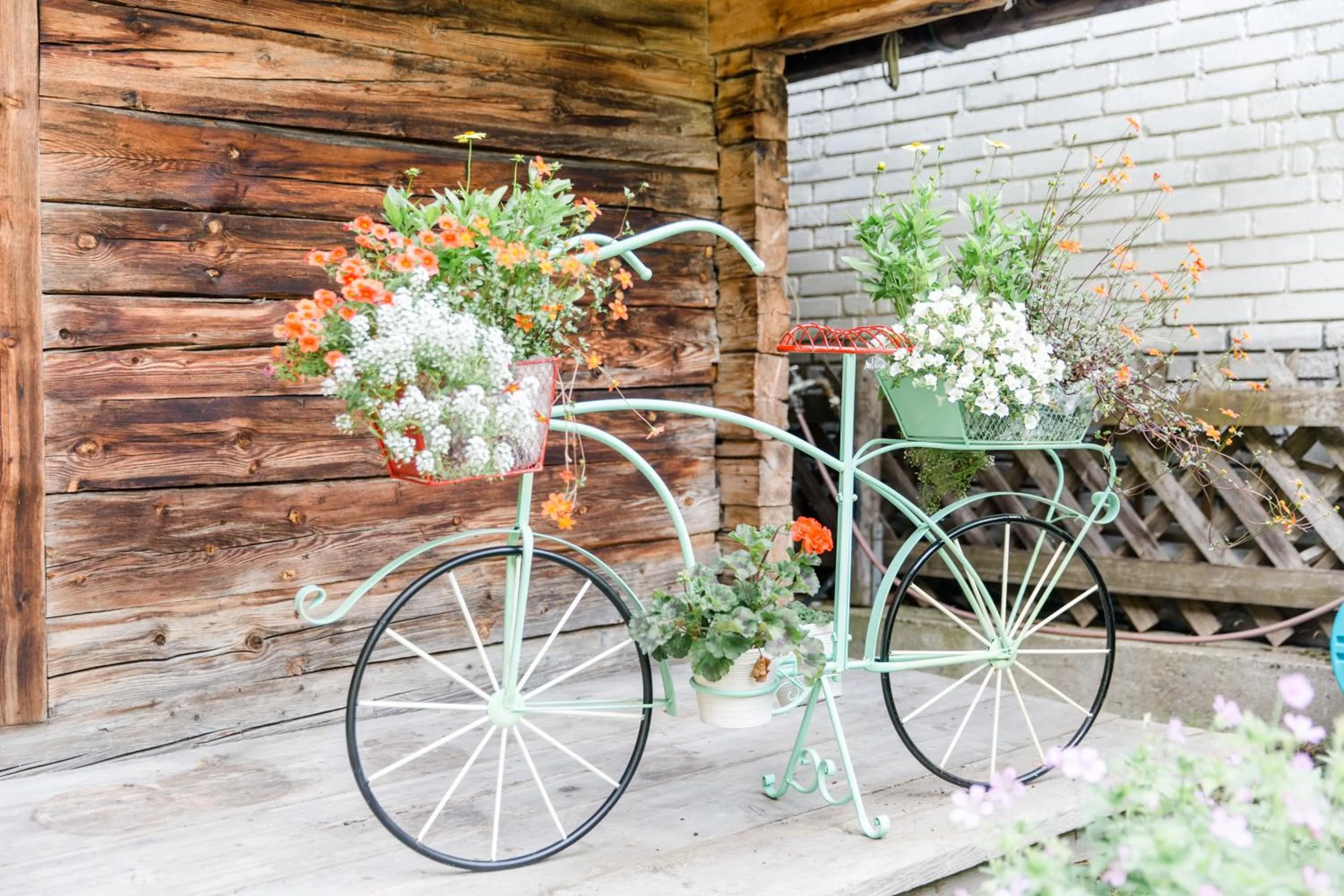 Garden in Hotel Sportpension Carinthia