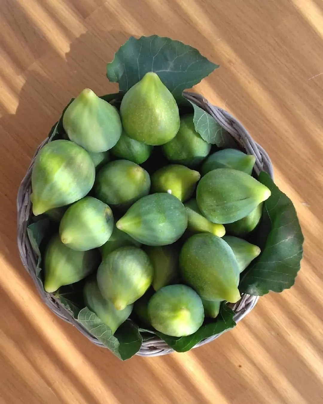 Breakfast in Pietra Pesara