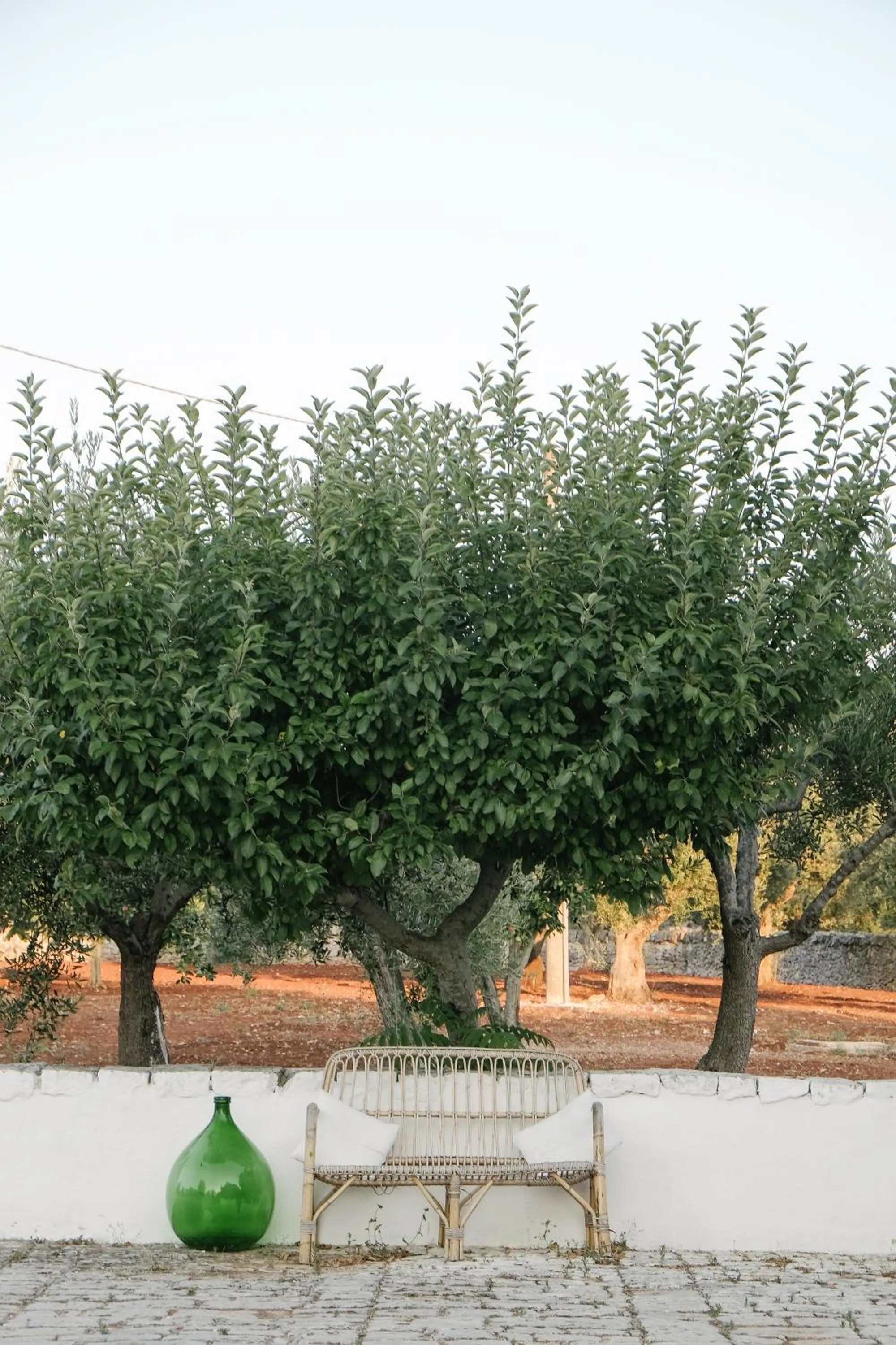 Garden in Pietra Pesara