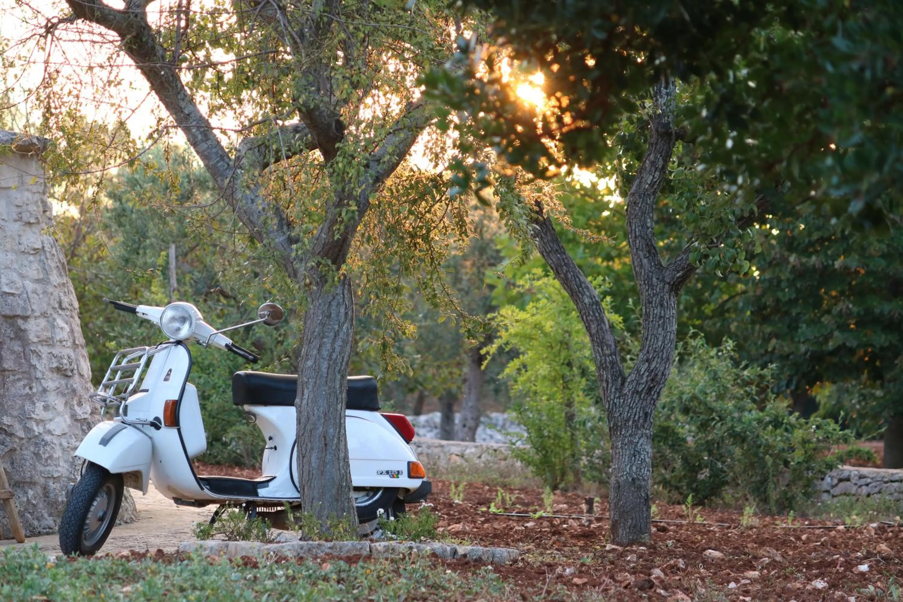 Garden view in Pietra Pesara