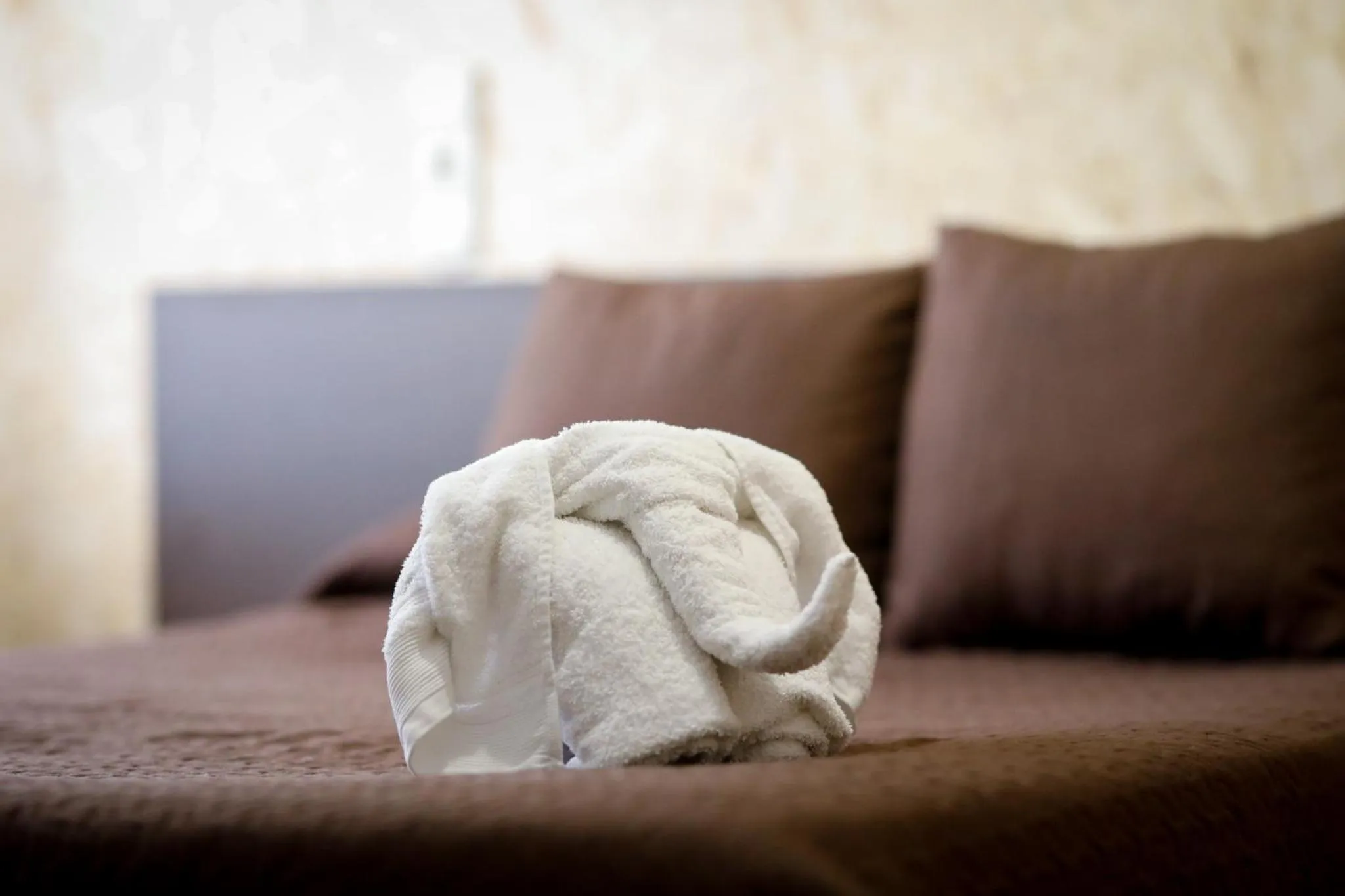 Bed in Hostal Conde David