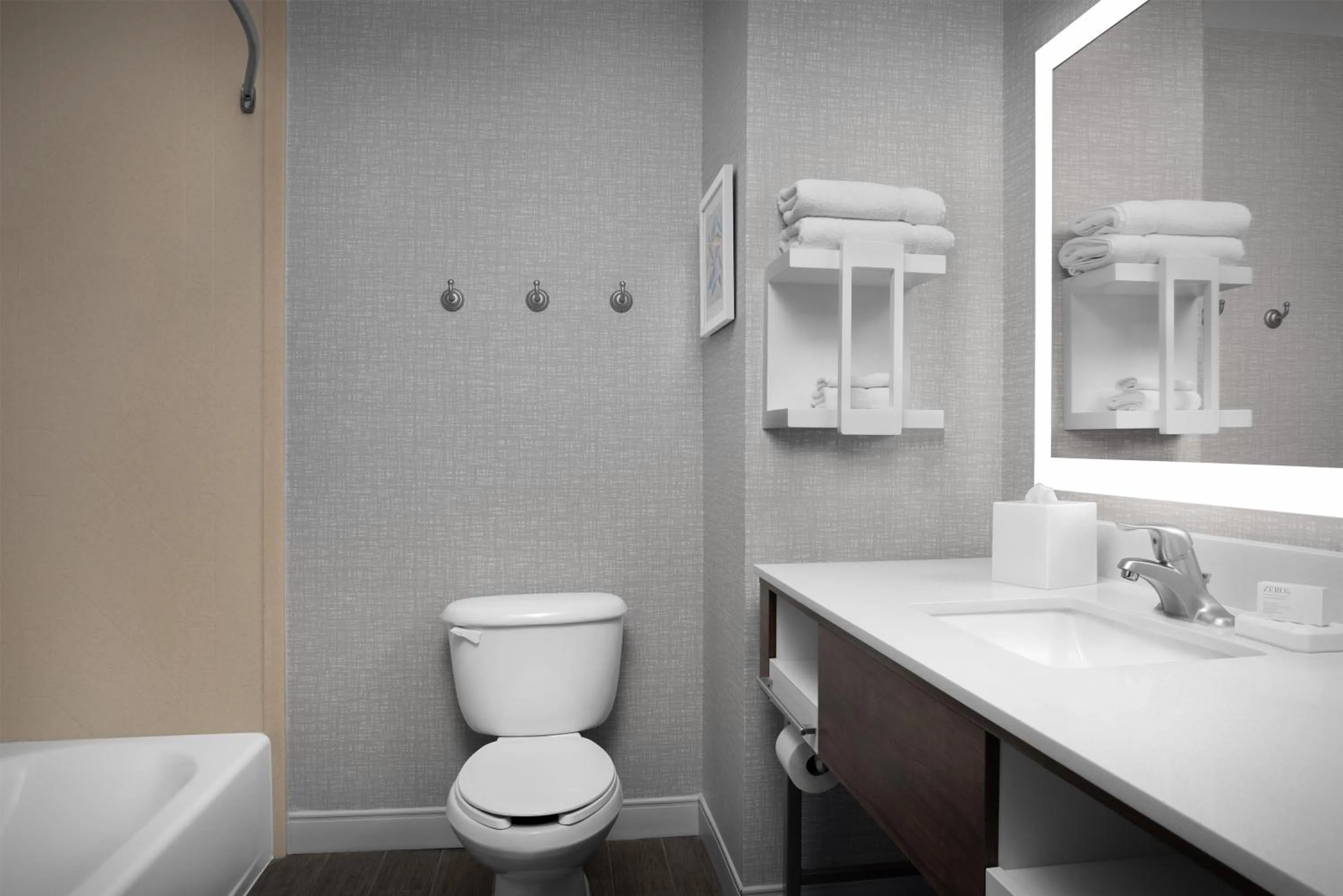 Bathroom in Hampton Inn & Suites Lakeland-South Polk Parkway