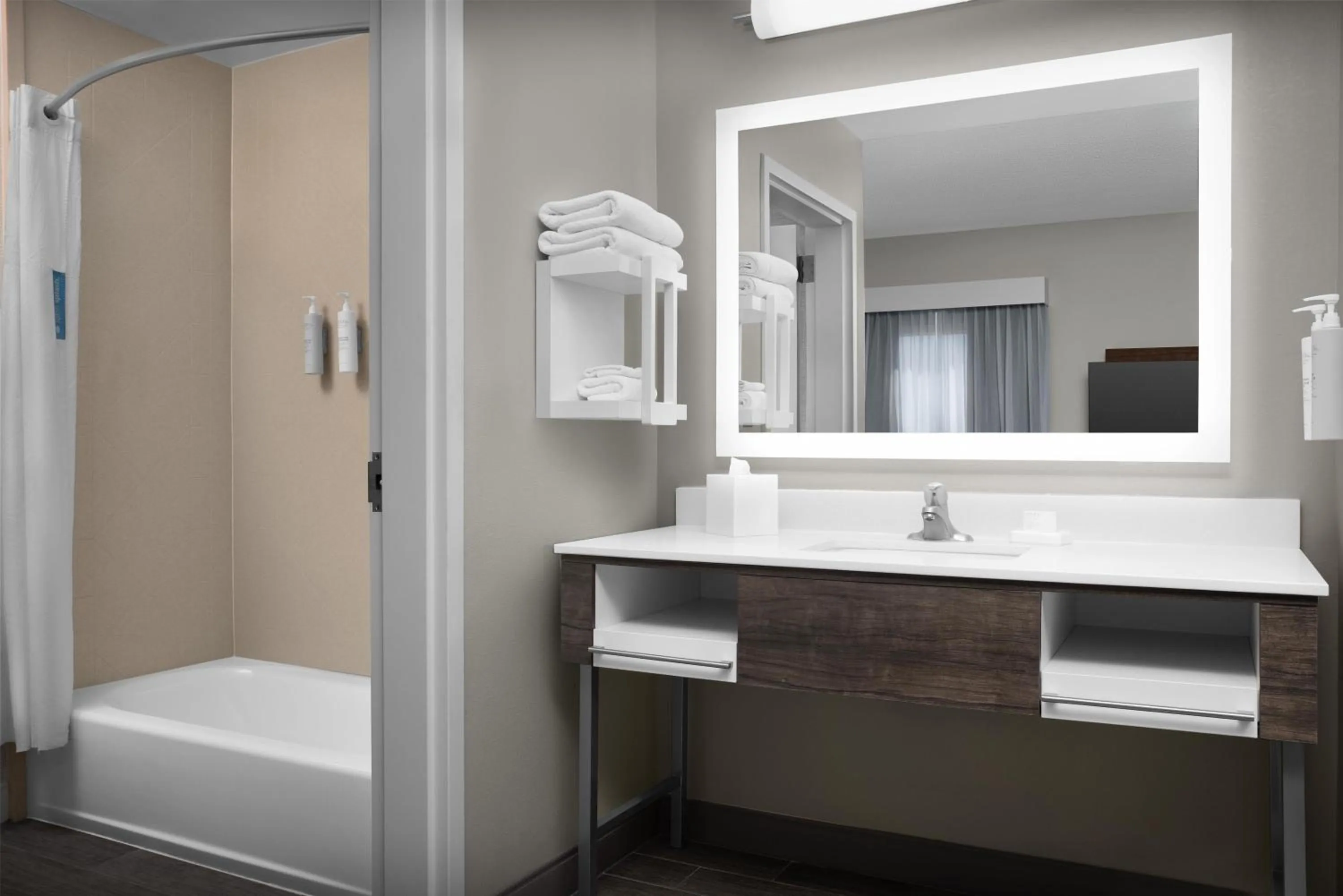 Bathroom in Hampton Inn & Suites Lakeland-South Polk Parkway