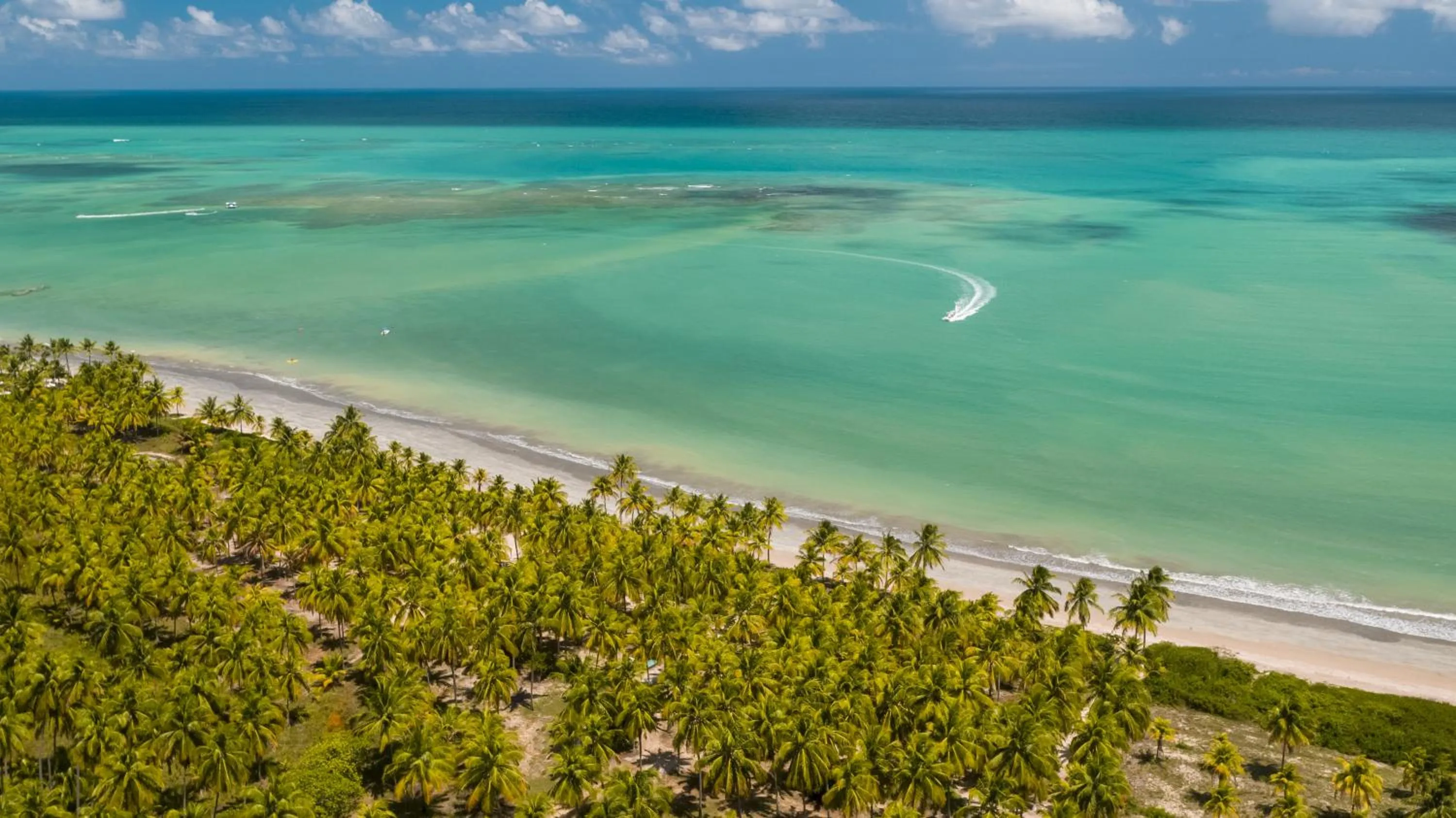 Natural landscape in Salinas Maceio All Inclusive Resort