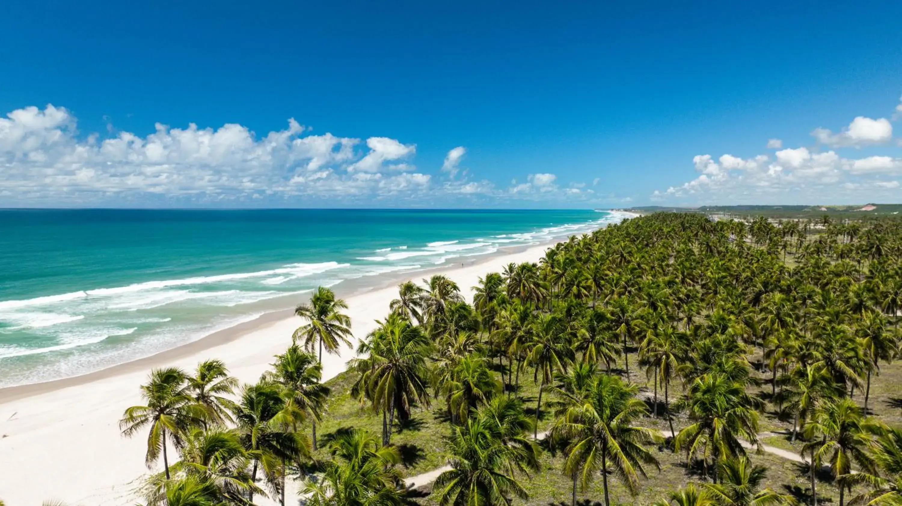 Natural landscape in Salinas Maceio All Inclusive Resort Natural landscape in Salinas Maceio All Inclusive Resort