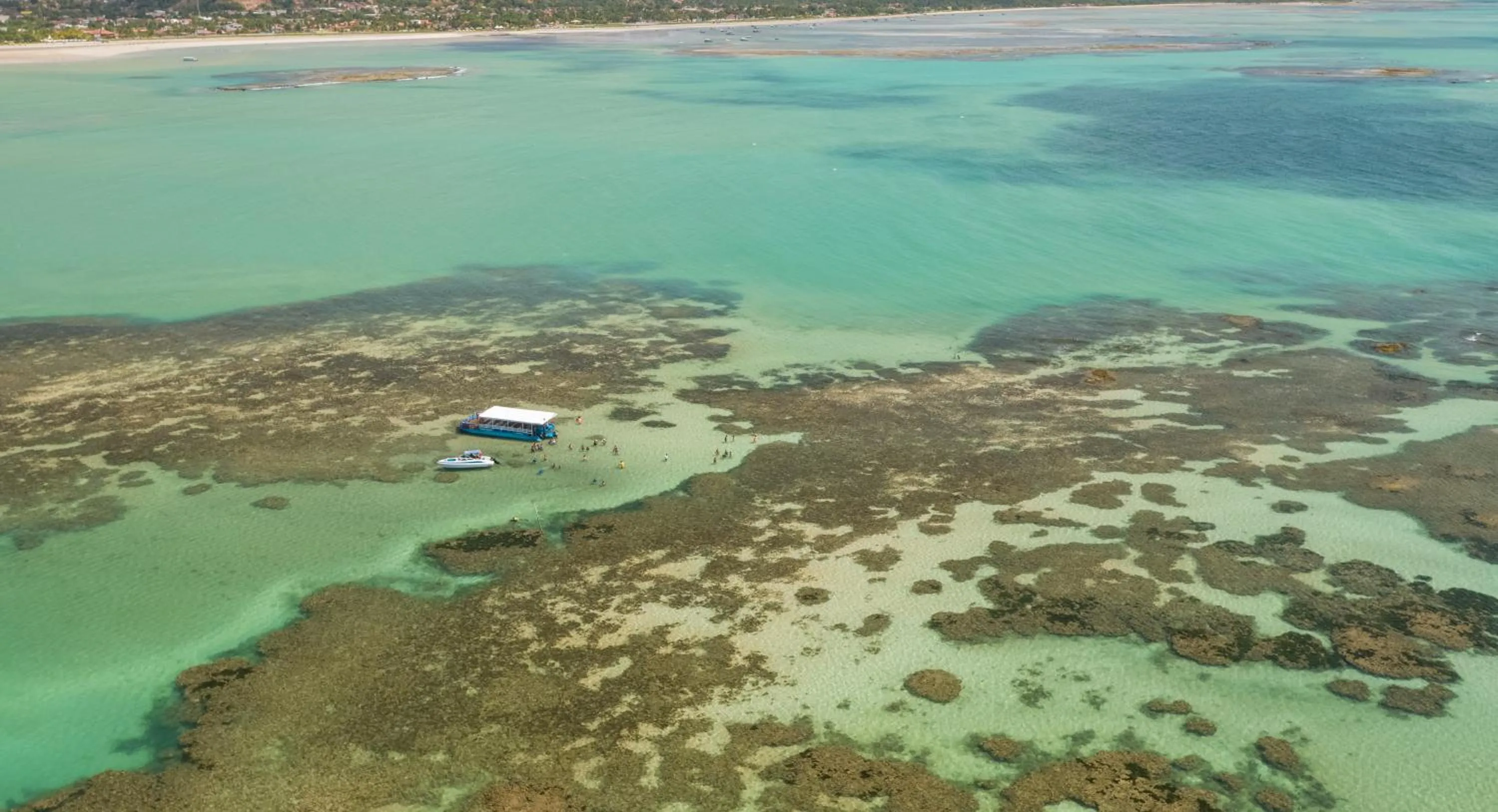 Natural landscape in Salinas Maceio All Inclusive Resort