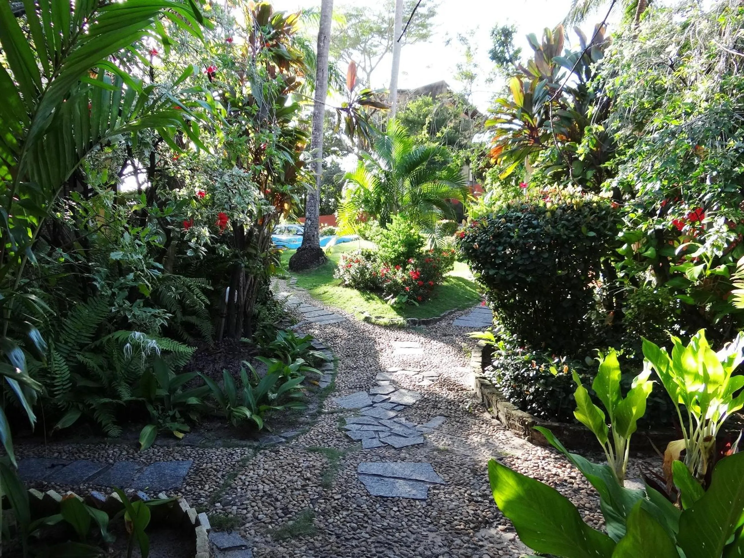 Garden in Pousada Cavalo Marinho