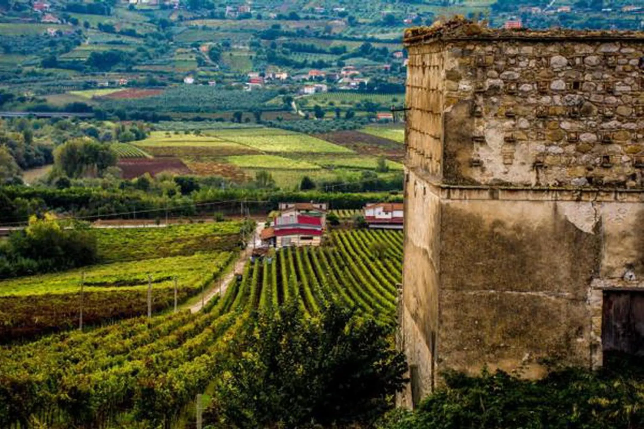 Hiking in palazzo RICCARDI