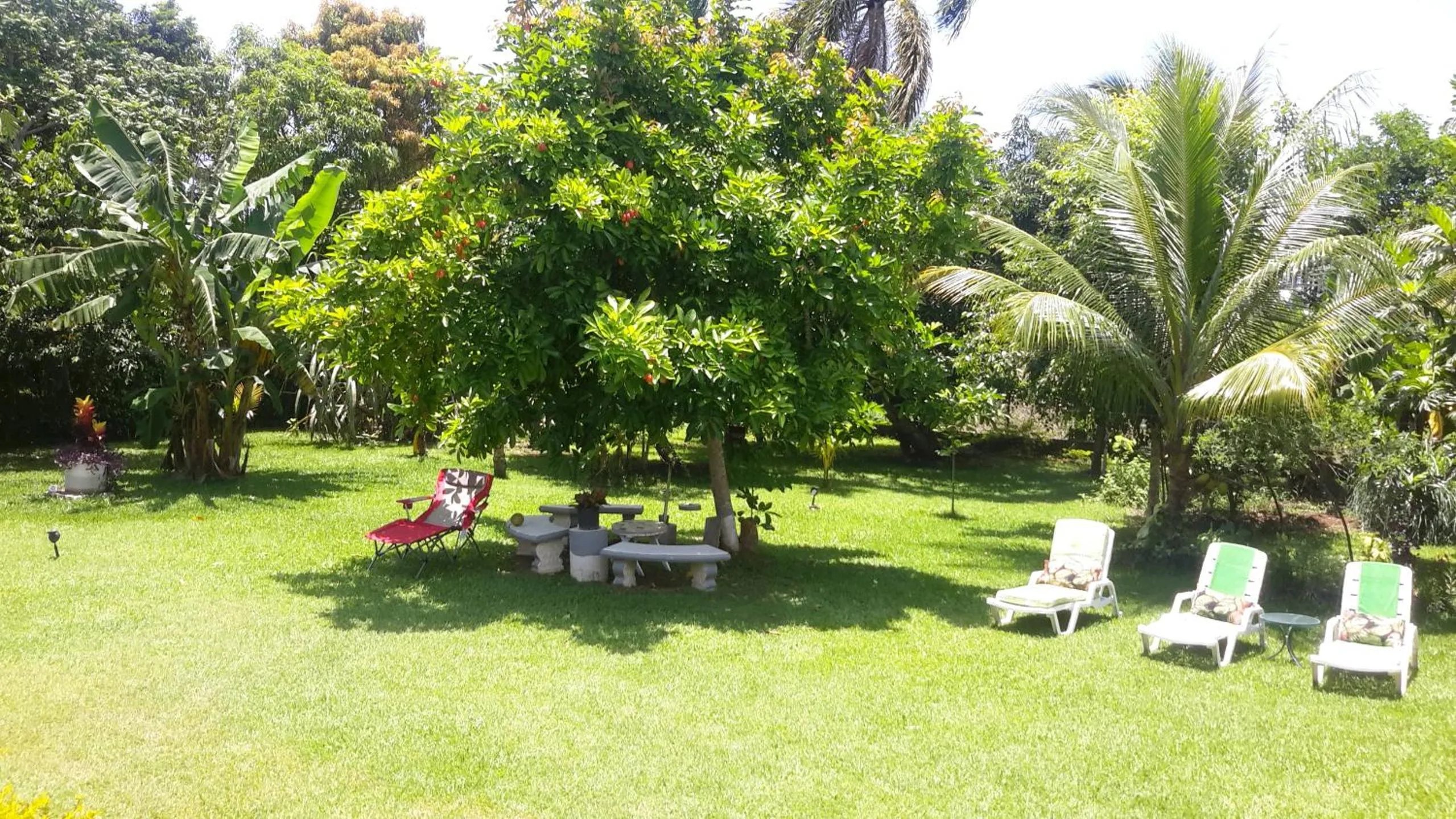 Garden in Lorenton Hideaway