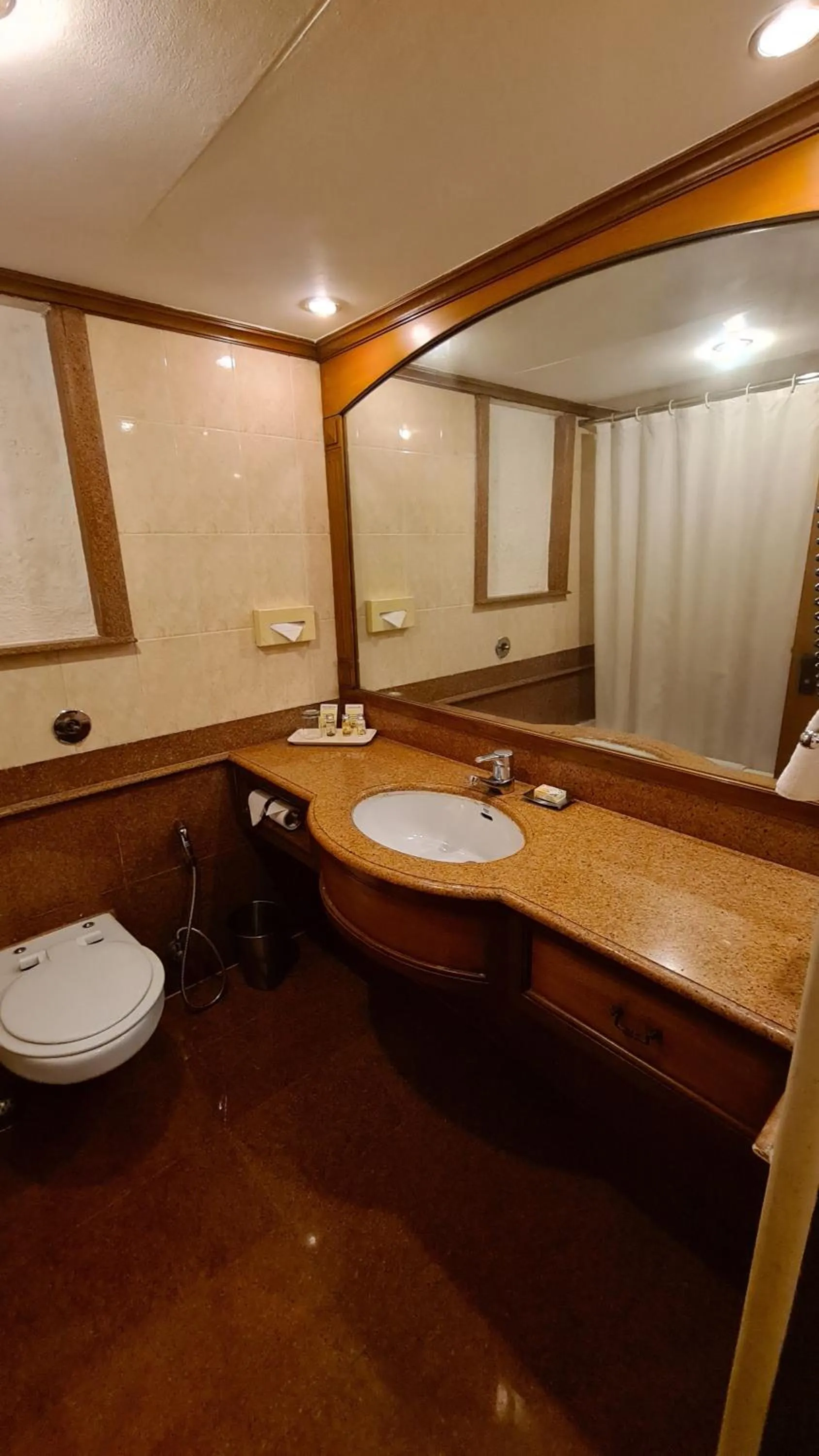 Bathroom in Pride Premier Pune