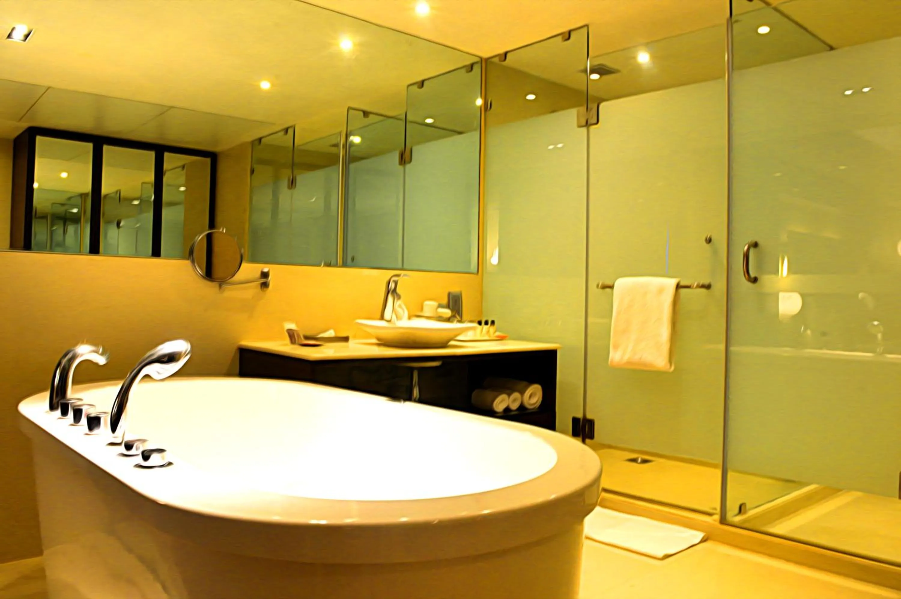 Bathroom in Pride Premier Bengaluru