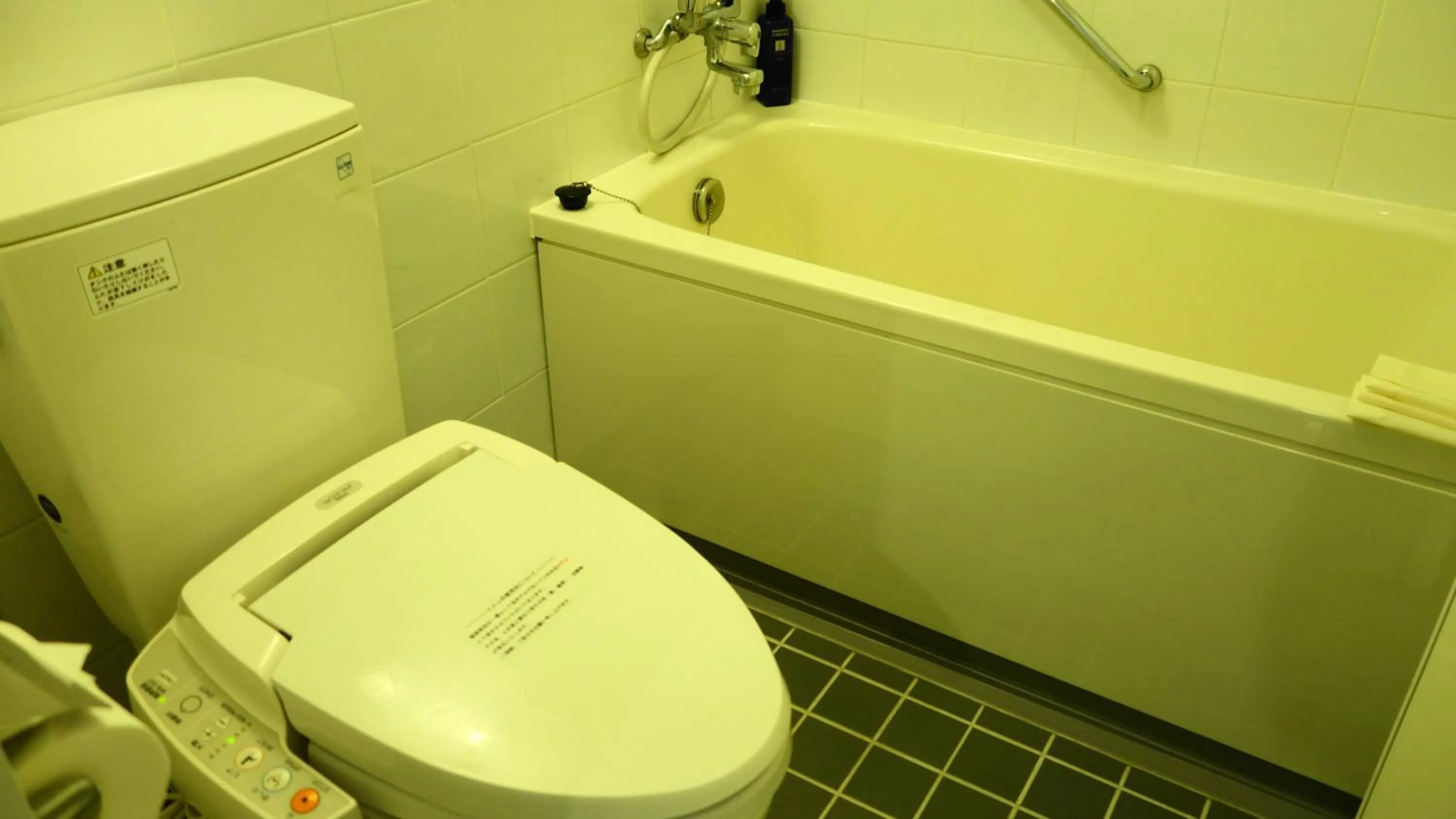 Bathroom in City Plaza Osaka