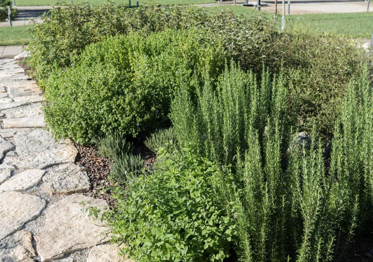 Garden in Finis Africae Hotel