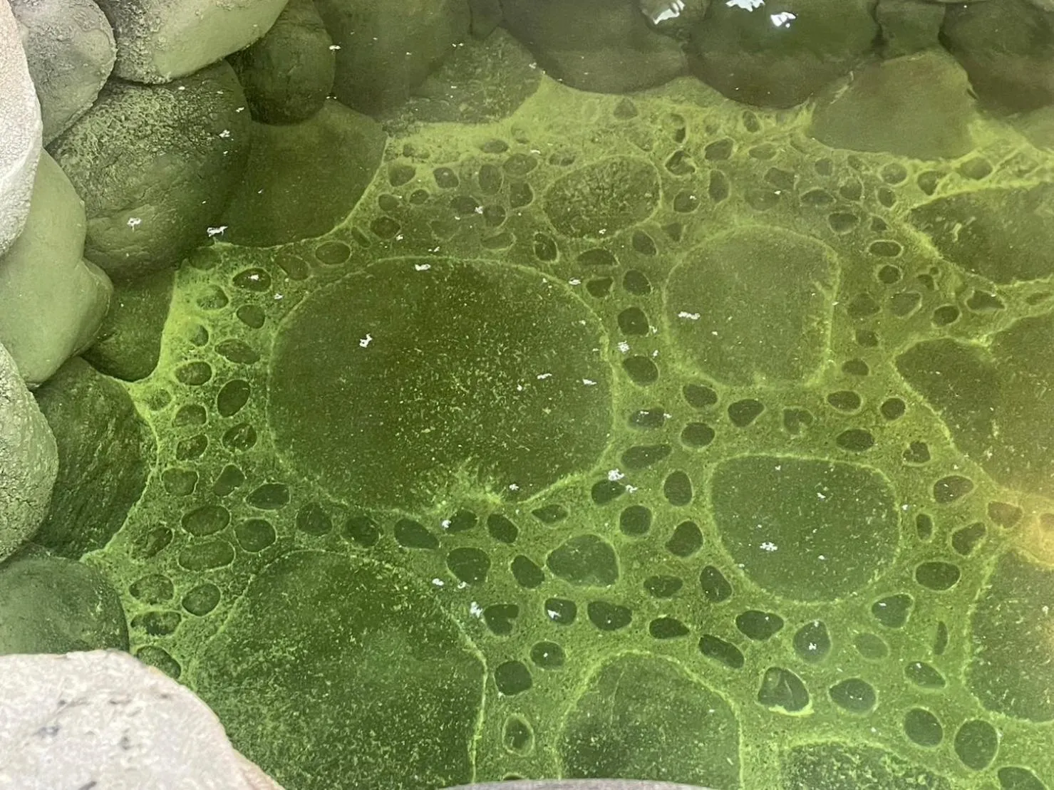 Hot Spring Bath in Hatago Nagomi